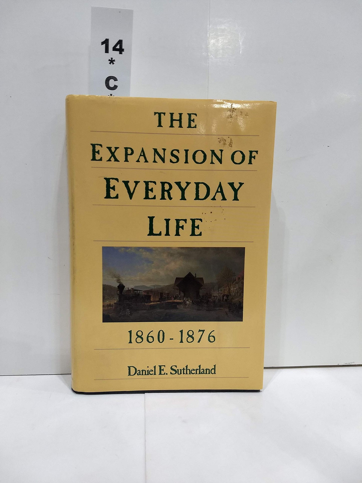 The Expansion of Everyday Life, 1860-1876 (Everyday Life in America) - 298