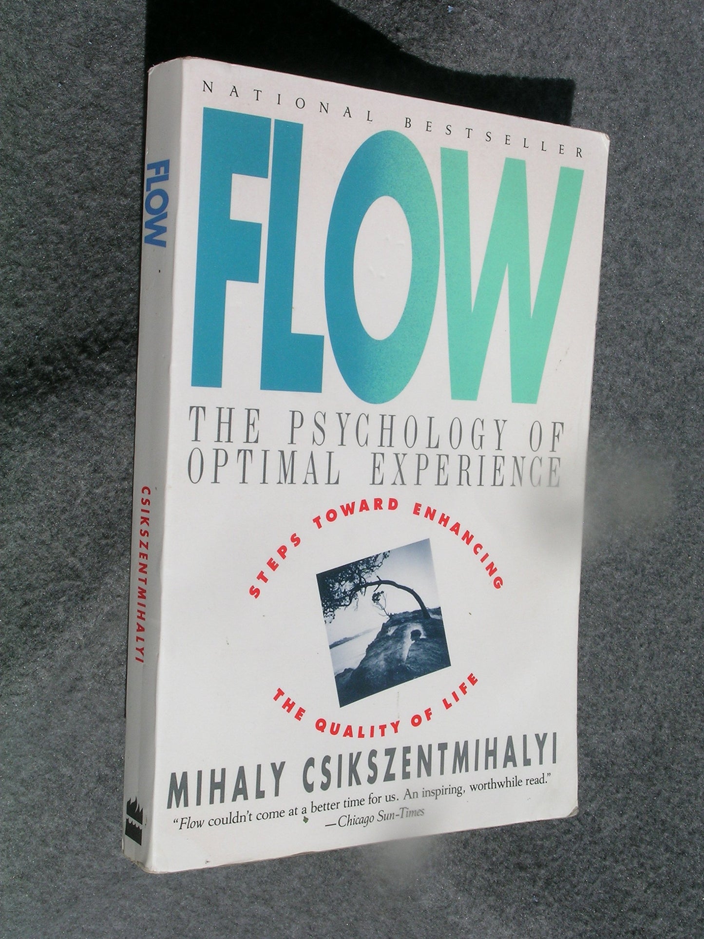 Flow: The Psychology of Optimal Experience - 5170