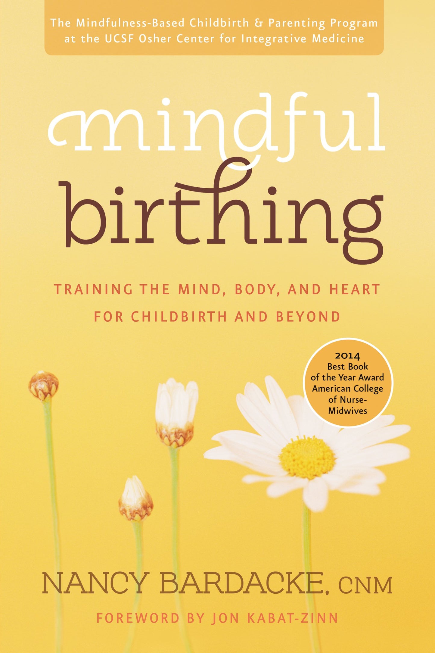 Mindful Birthing: Training the Mind, Body, and Heart for Childbirth and Beyond - 5389