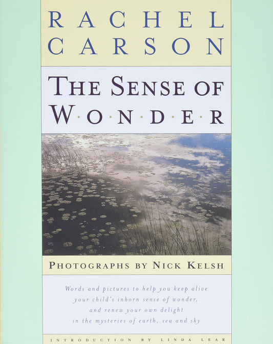 The Sense of Wonder - 5648