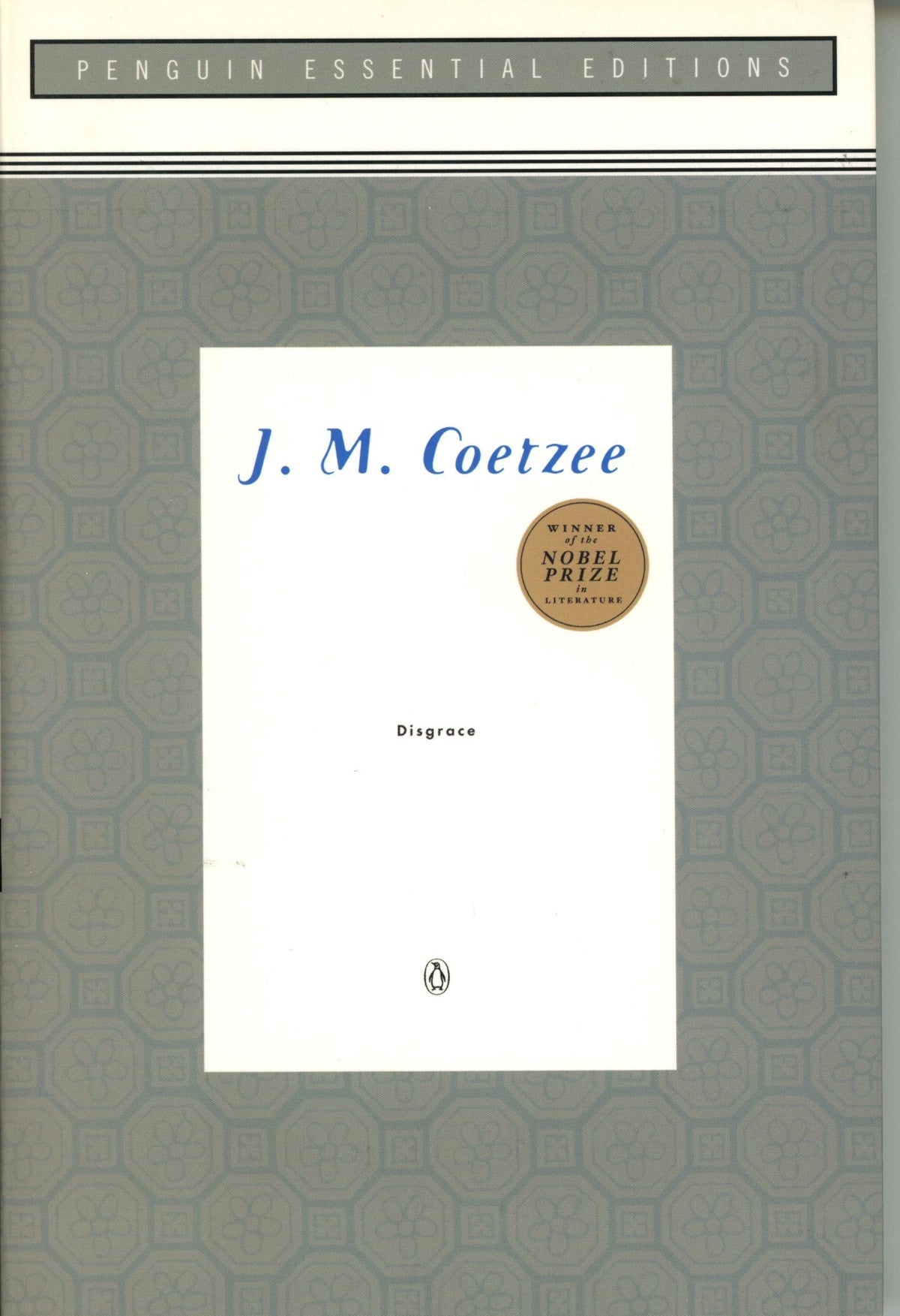 Disgrace (Penguin Essential Editions)