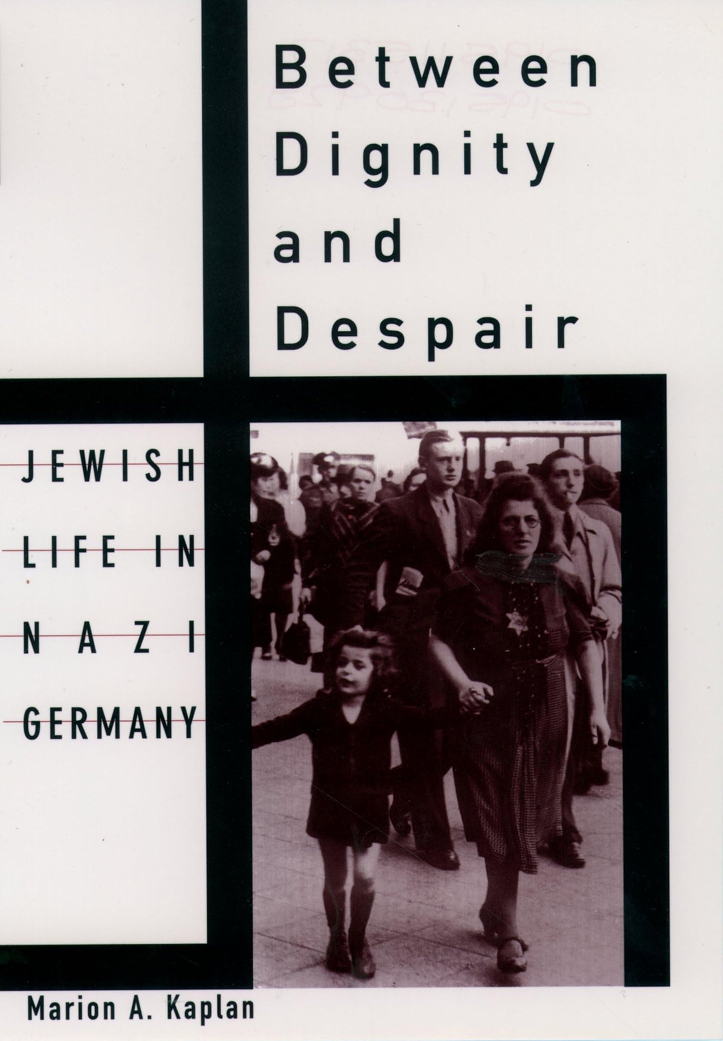 Between Dignity and Despair: Jewish Life in Nazi Germany (Studies in Jewish History) - 4680