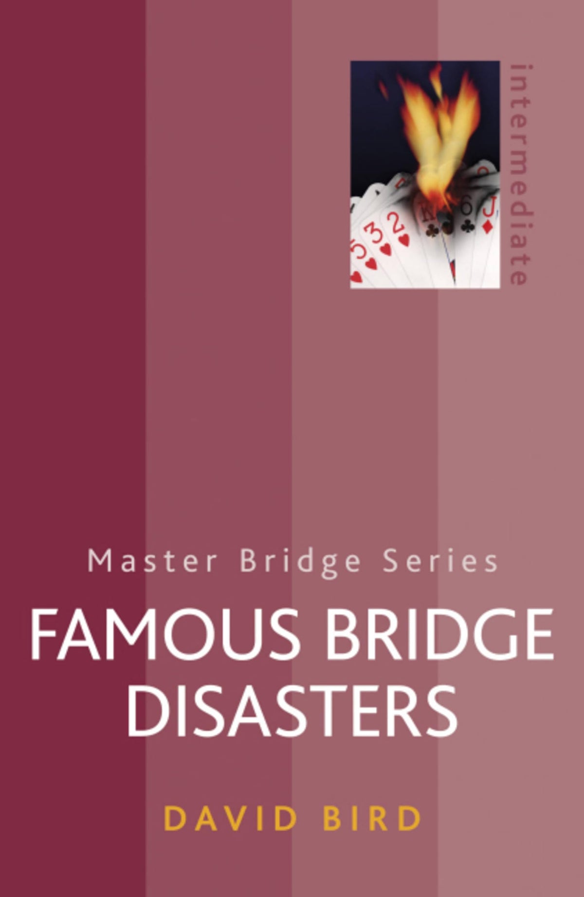 Famous Bridge Disasters (Master Bridge Series)