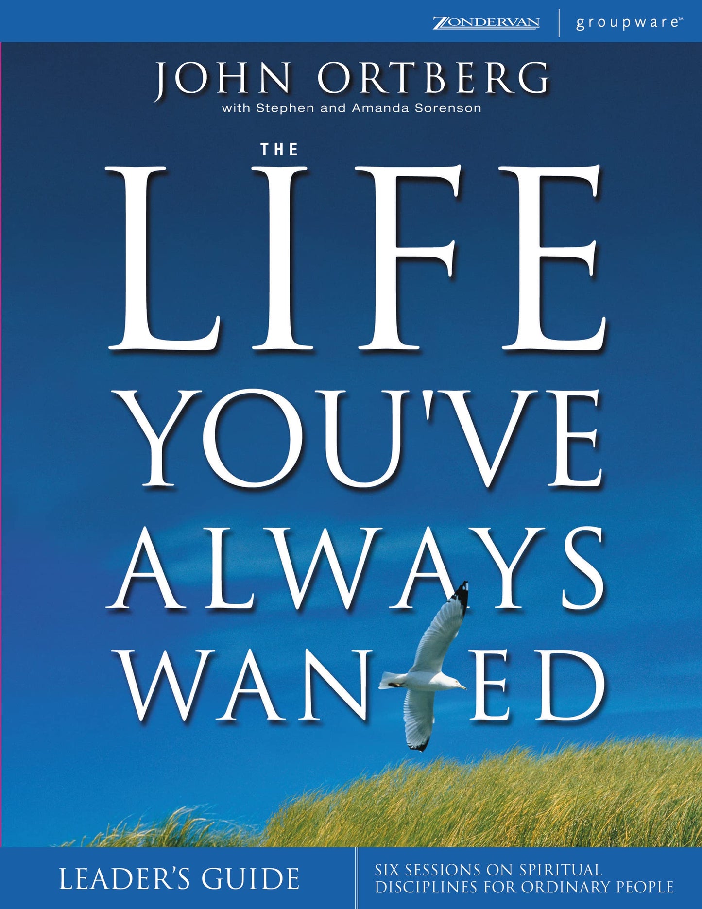 The Life You've Always Wanted Leader's Guide: Six Sessions on Spiritual Disciplines for Ordinary People, Leader's Guide