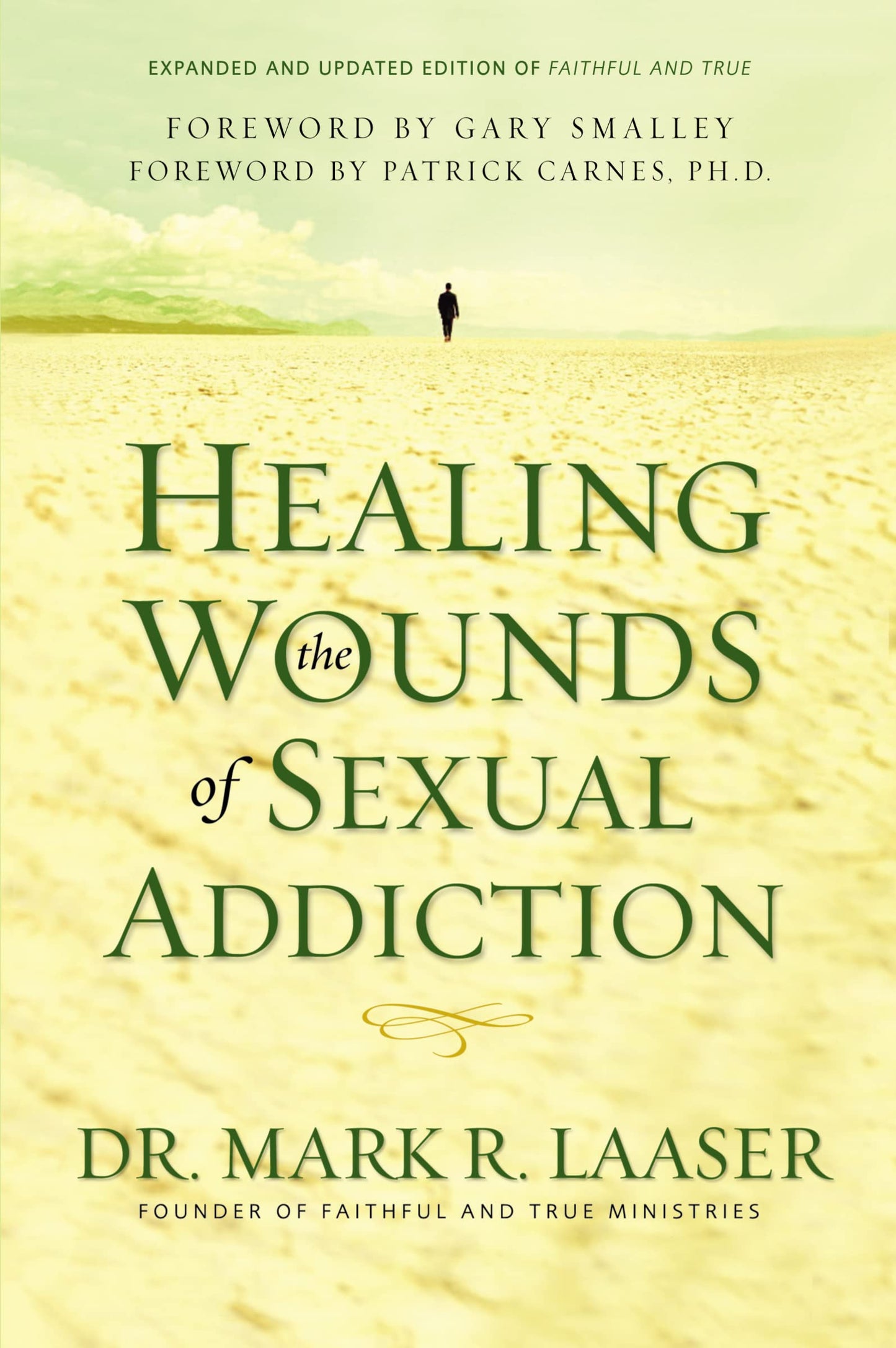 Healing the Wounds of Sexual Addiction: Discover the Practical and Spiritual Steps to Lasting Recovery - 7858
