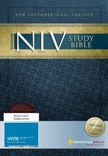 Zondervan NIV Study Bible - 2985