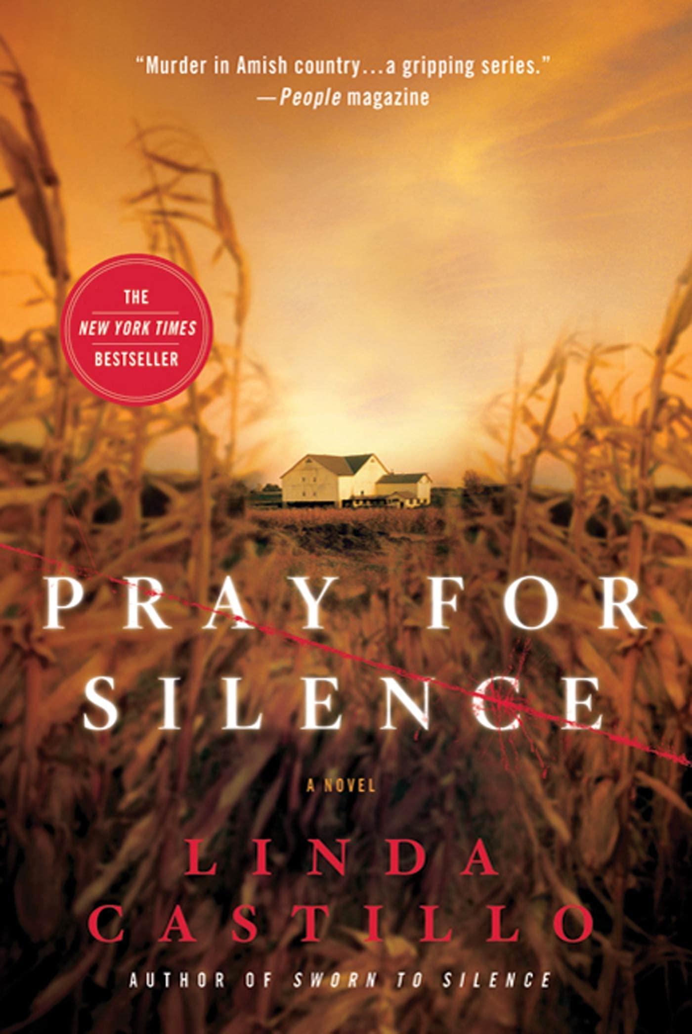 Pray for Silence: A Kate Burkholder Novel (Kate Burkholder, 2) - 453