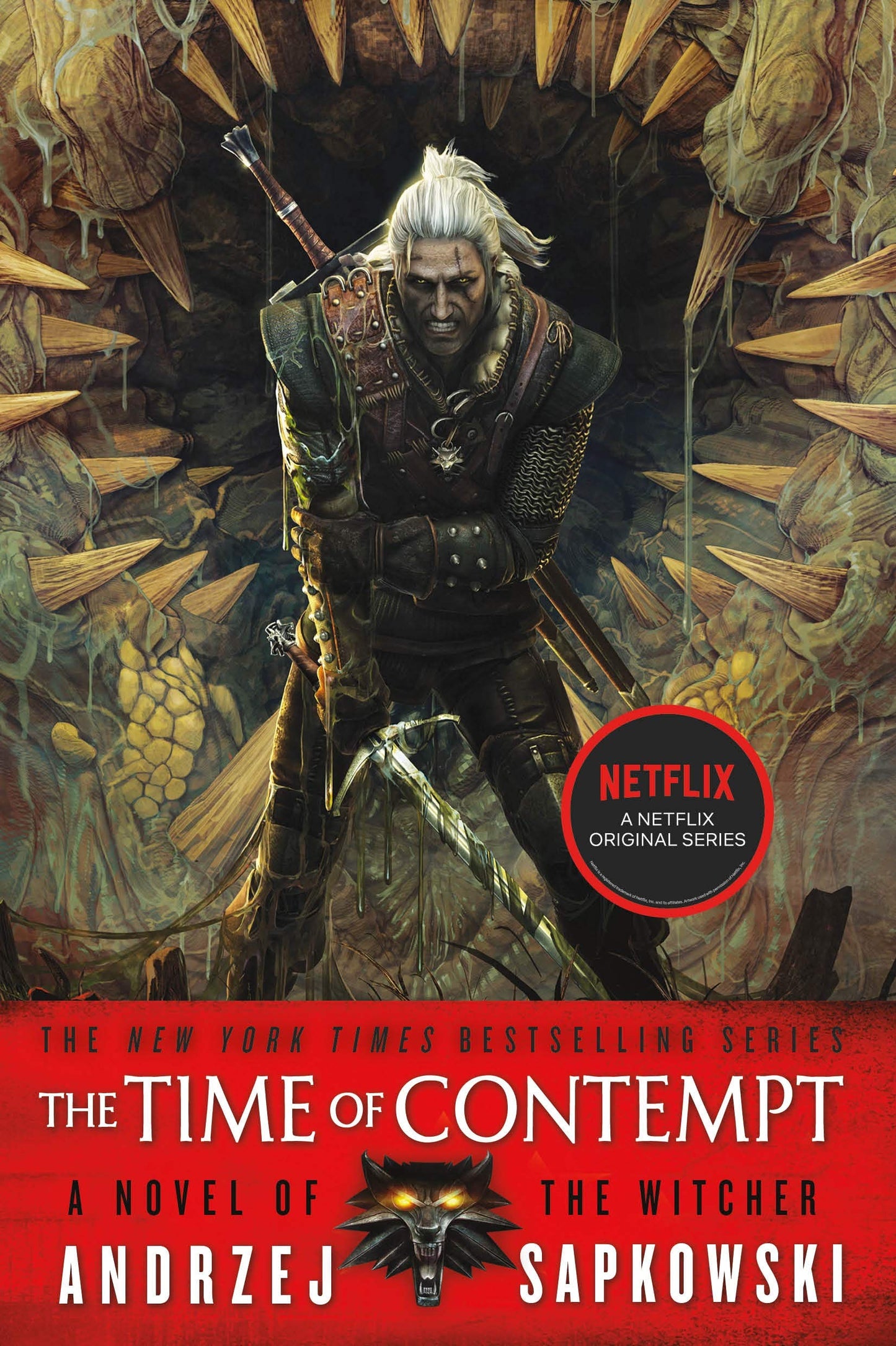 The Time of Contempt (The Witcher, 4) - 1143