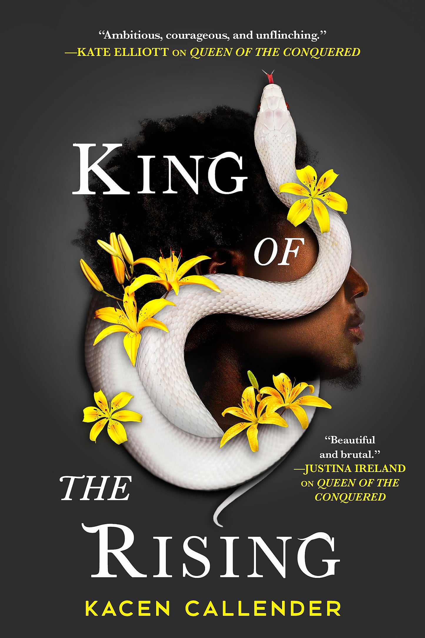 King of the Rising (Islands of Blood and Storm, 2)