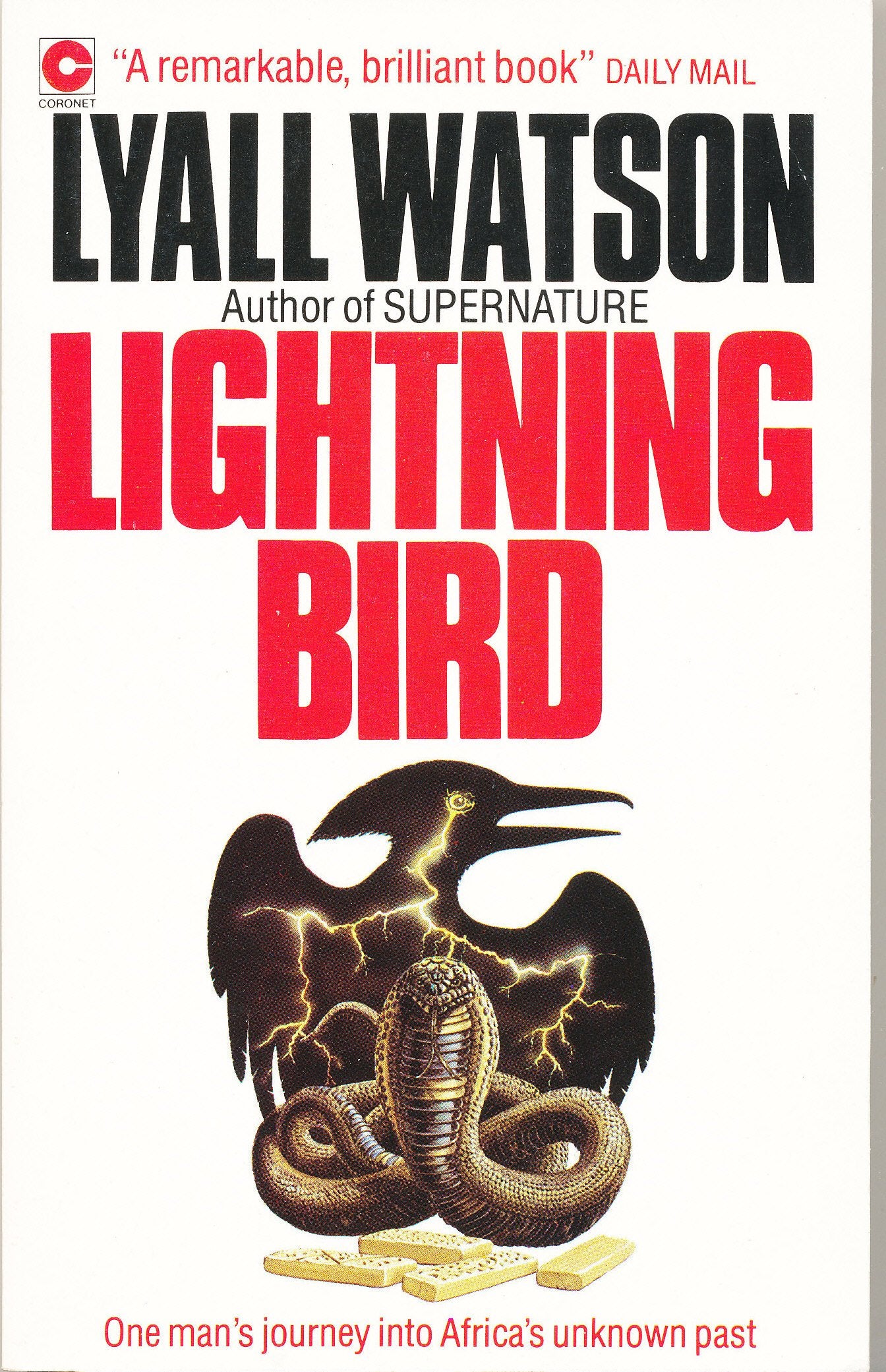 Lightning Bird : The Story Of One Man's Journey Into Africa's Past