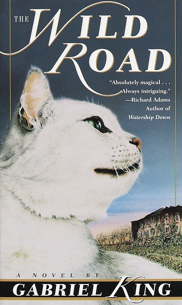 The Wild Road: A Novel - 5503