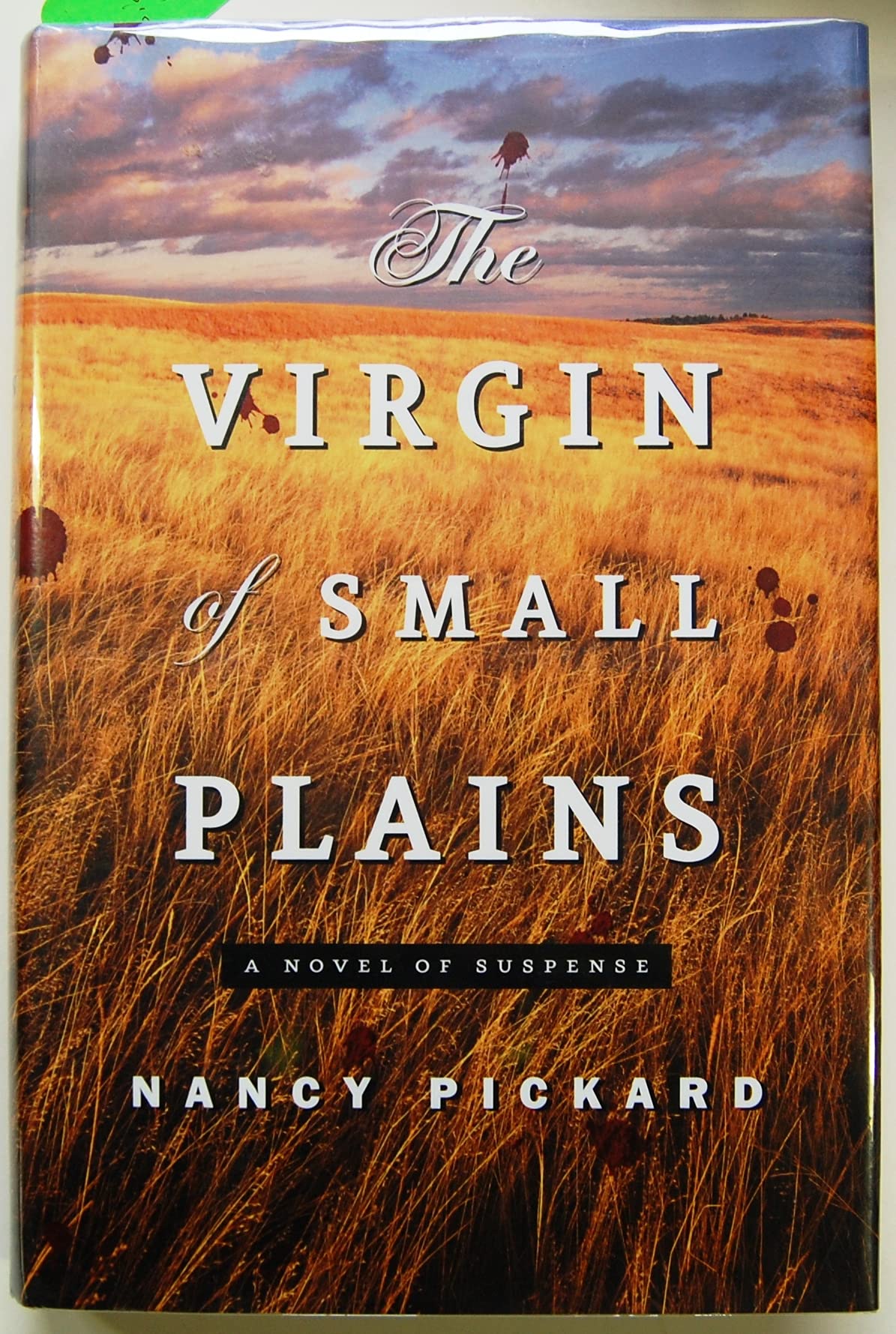 The Virgin of Small Plains: A Novel of Suspense