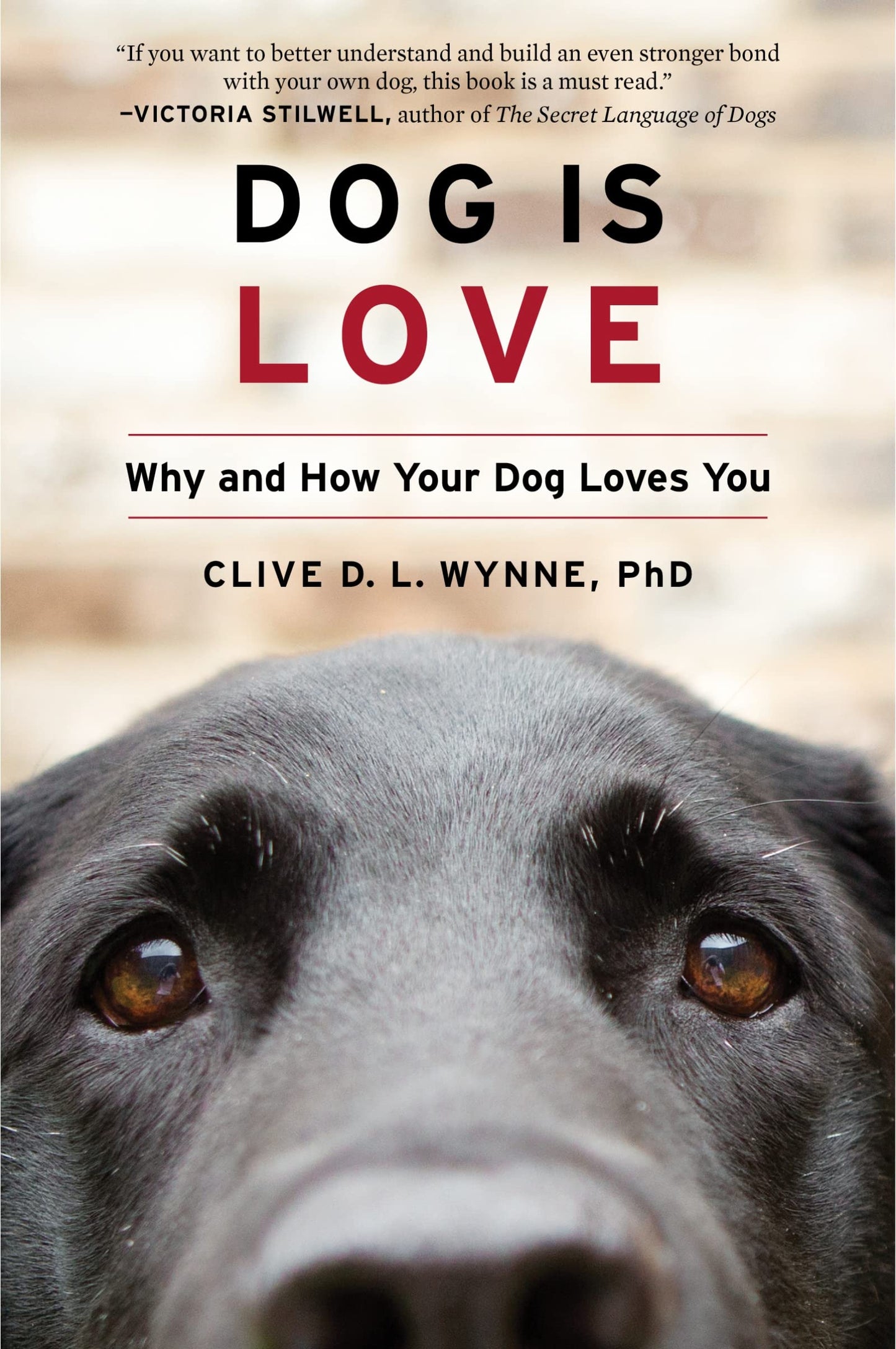 Dog Is Love: Why and How Your Dog Loves You - 348