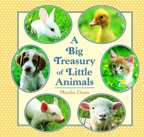 Big Treasury of Little Animals - 6203