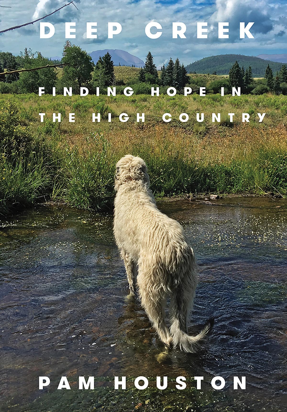 Deep Creek: Finding Hope in the High Country - 9791