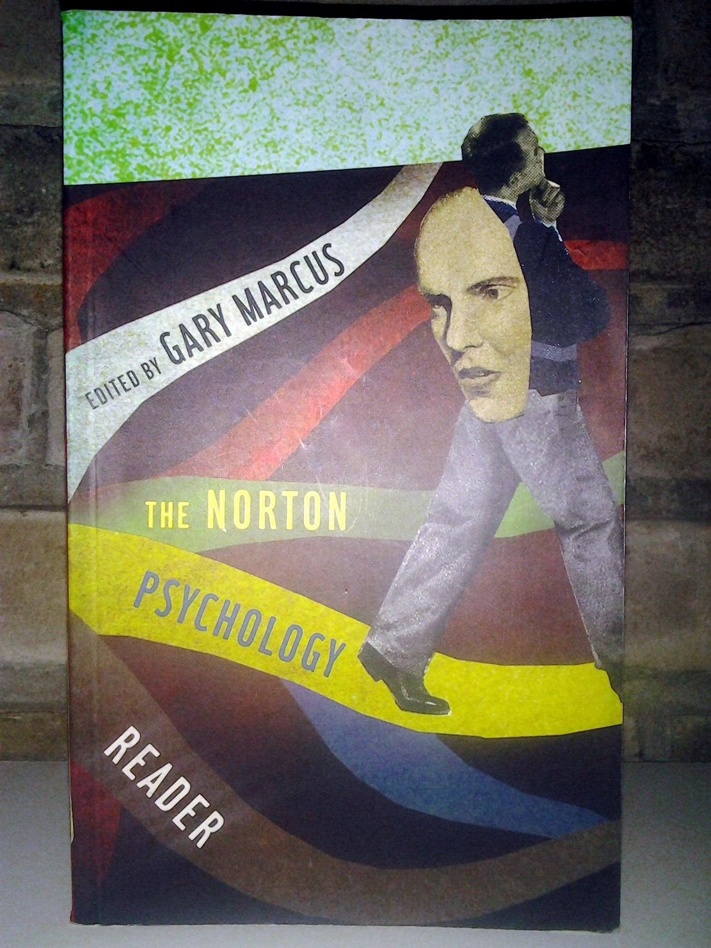 The Norton Psychology Reader - 1477