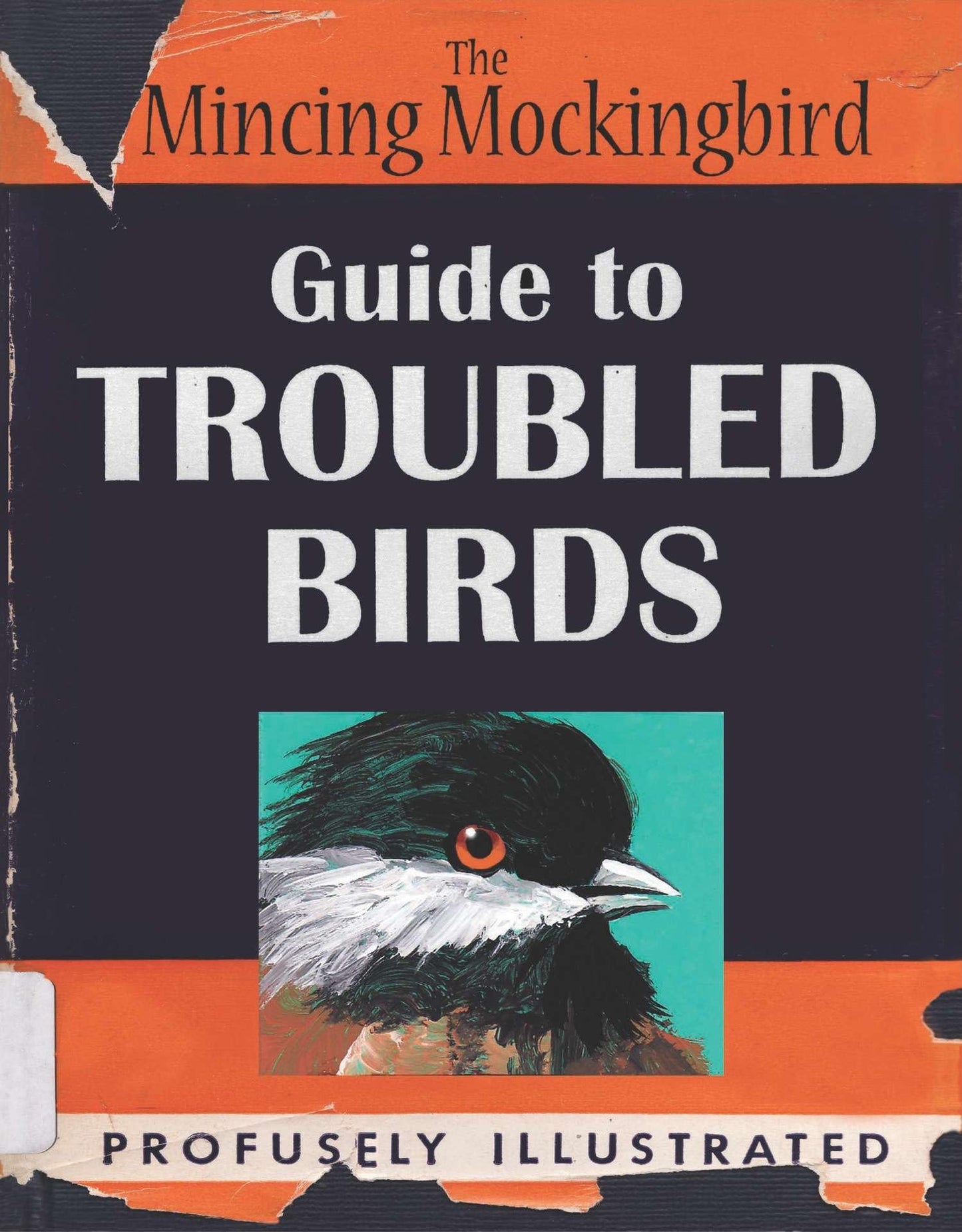 The Mincing Mockingbird: Guide to Troubled Birds - 8159