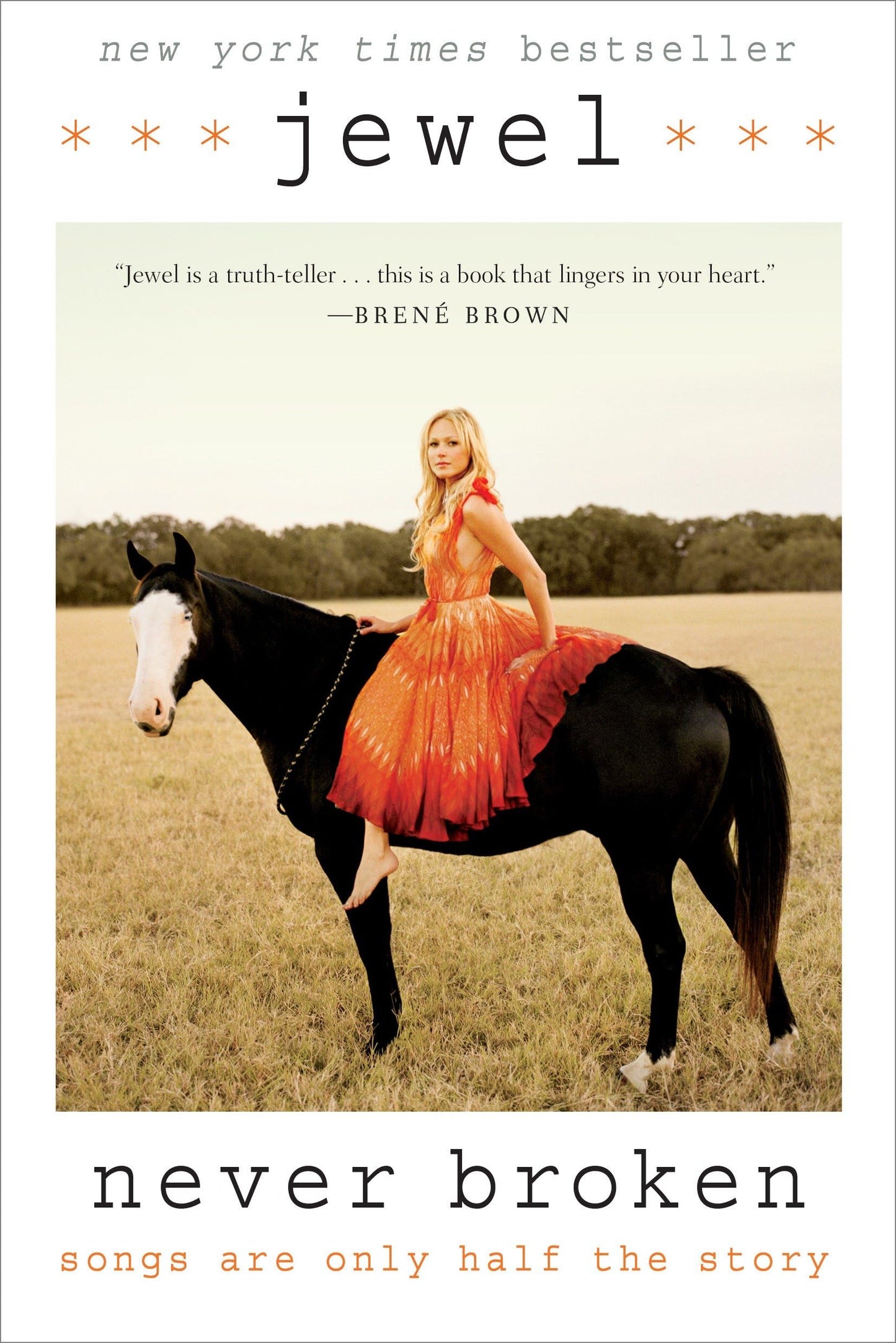 Never Broken: Songs Are Only Half the Story - 8695