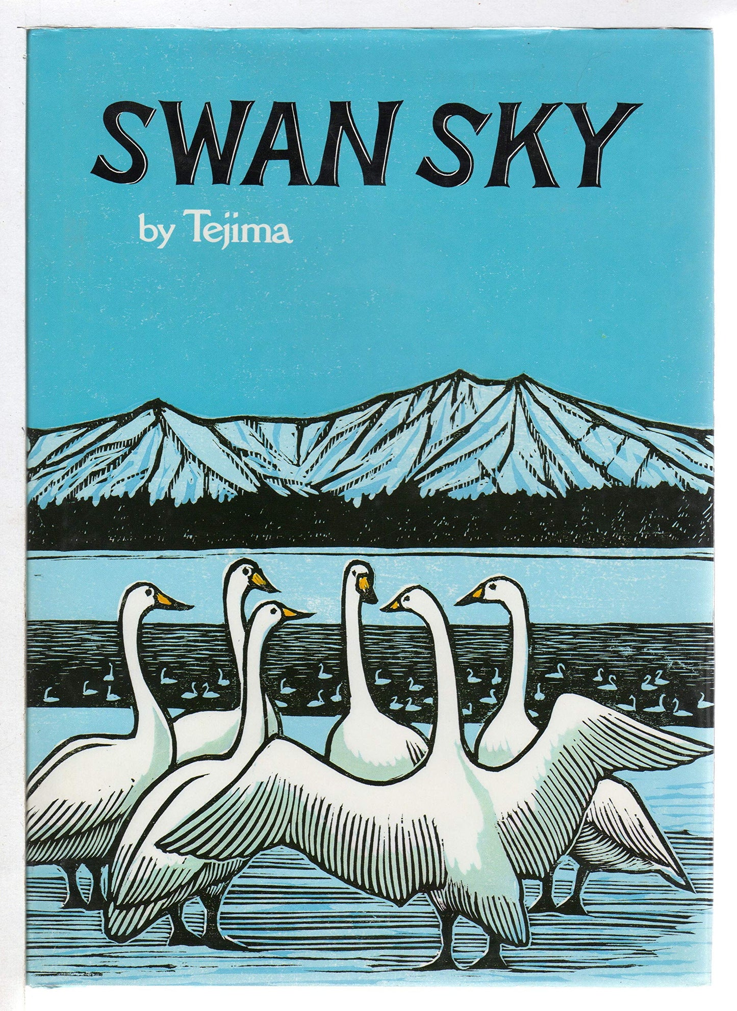 Swan Sky