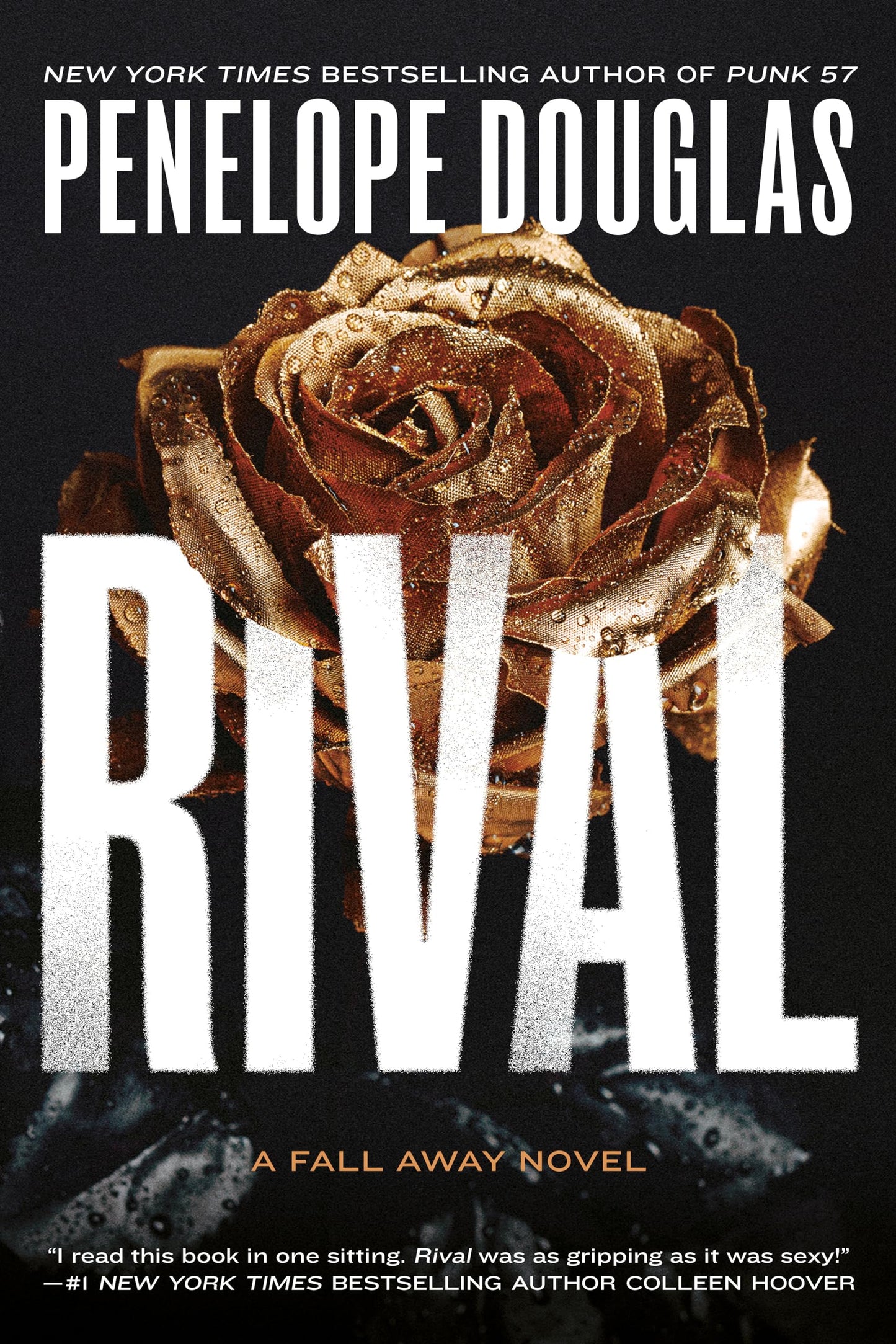 Rival (The Fall Away Series) - 6481