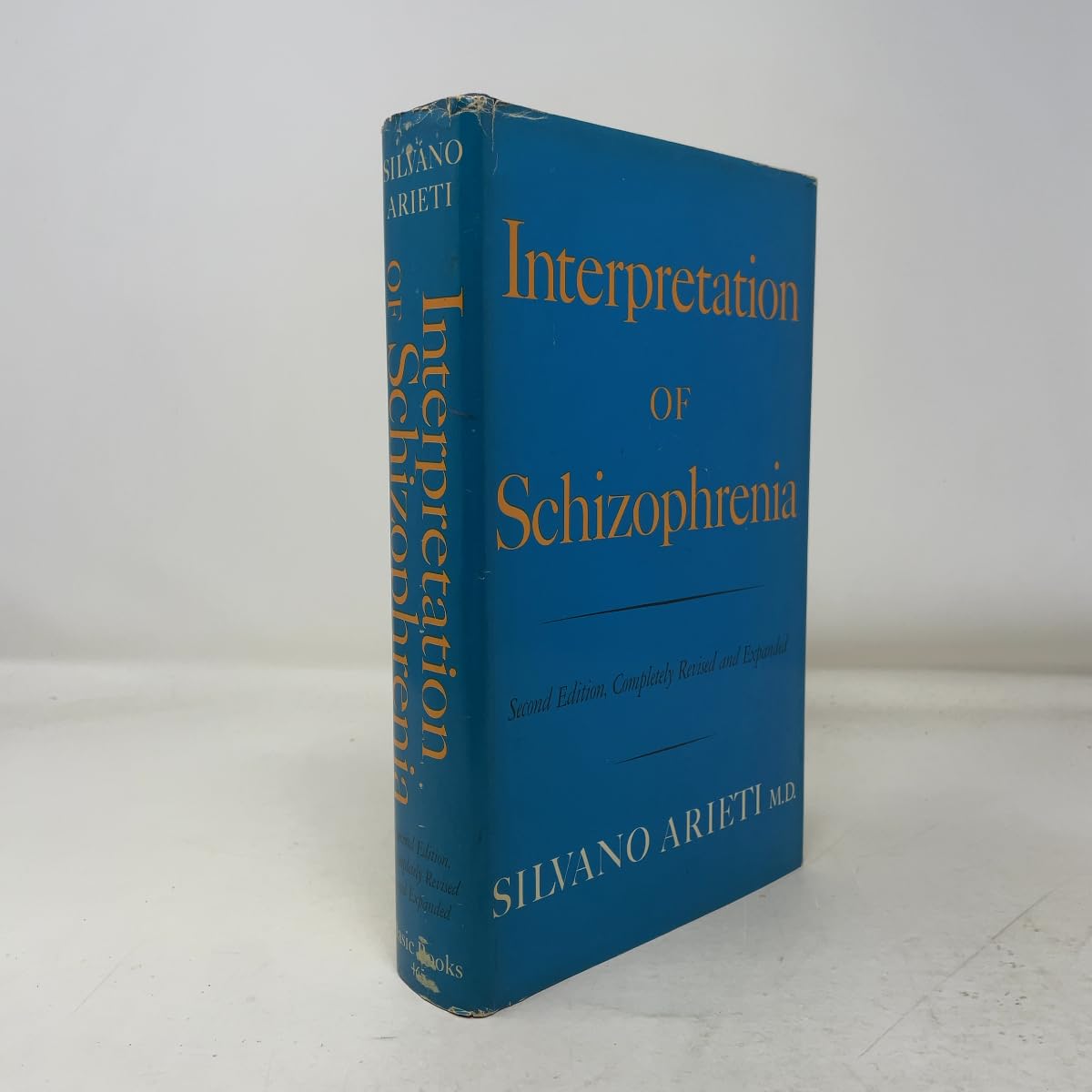 Interpretation Of Schizo 2nd