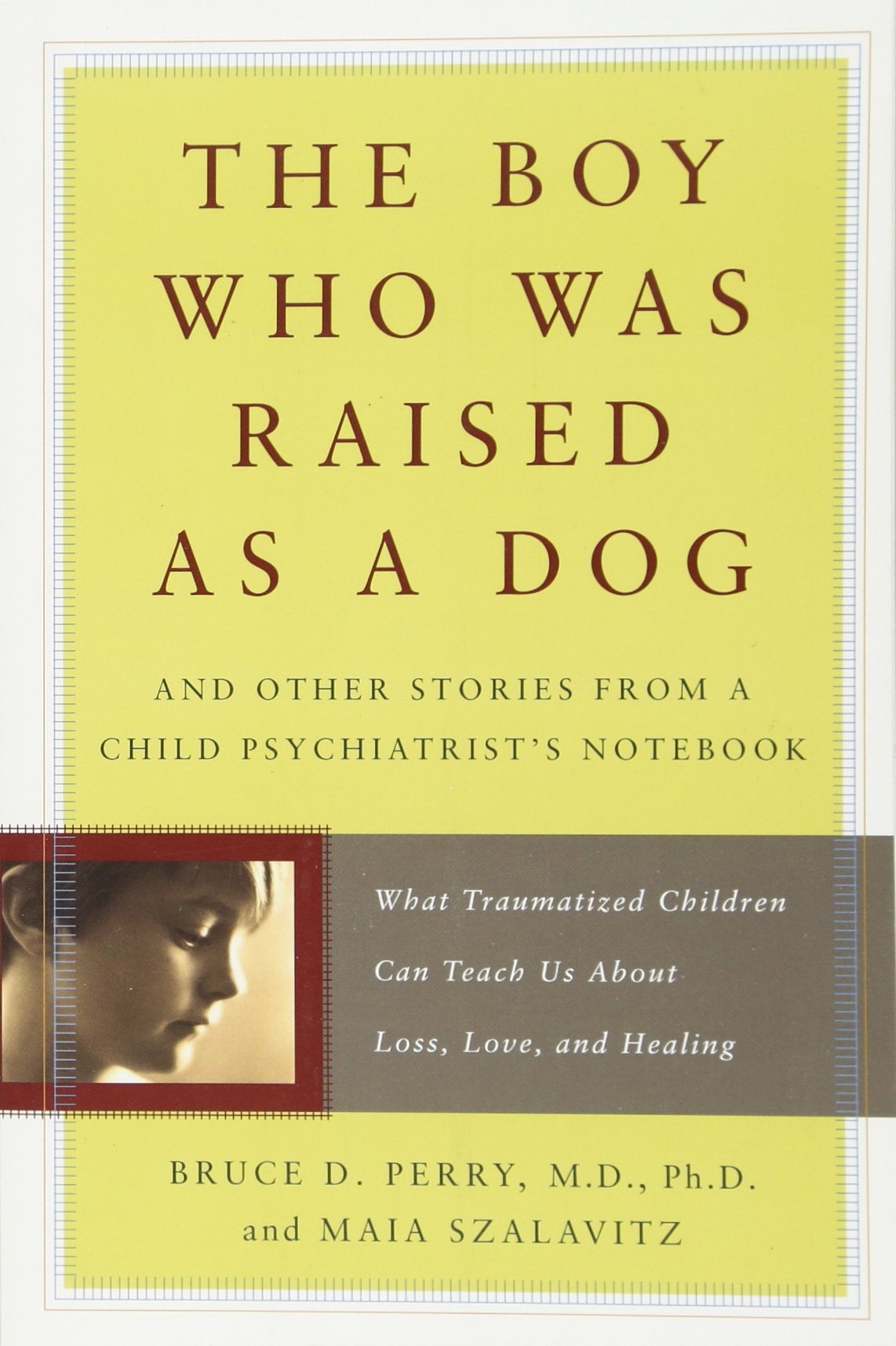 The Boy Who Was Raised as a Dog: And Other Stories from a Child Psychiatrist's Notebook -- What Traumatized Children Can Teach Us About Loss, Love, and Healing - 3199