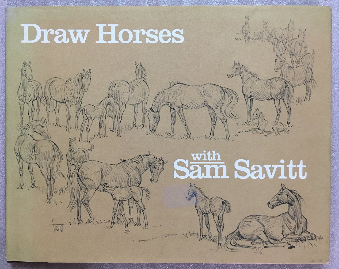 Draw Horses With Sam Savitt