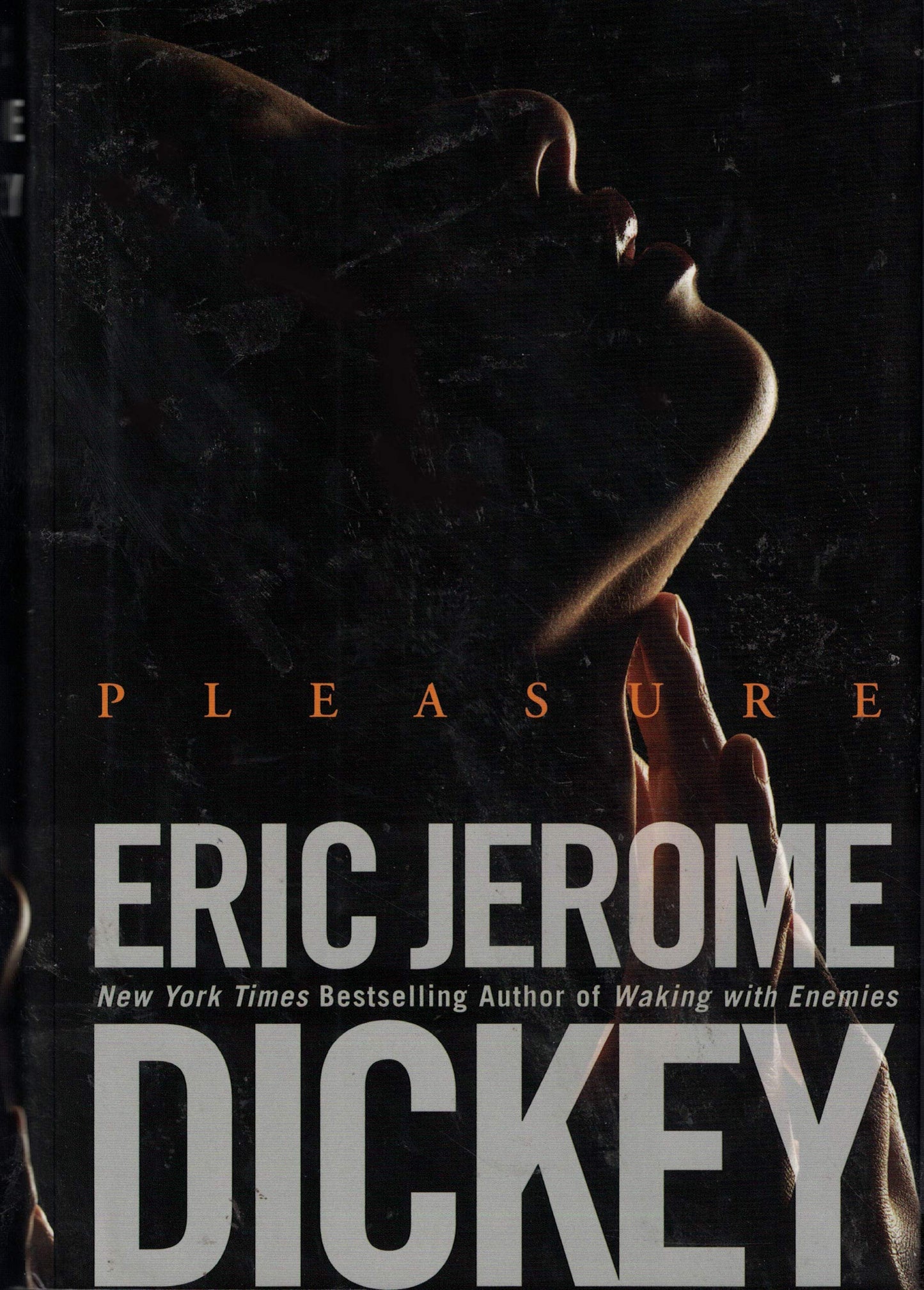 Pleasure