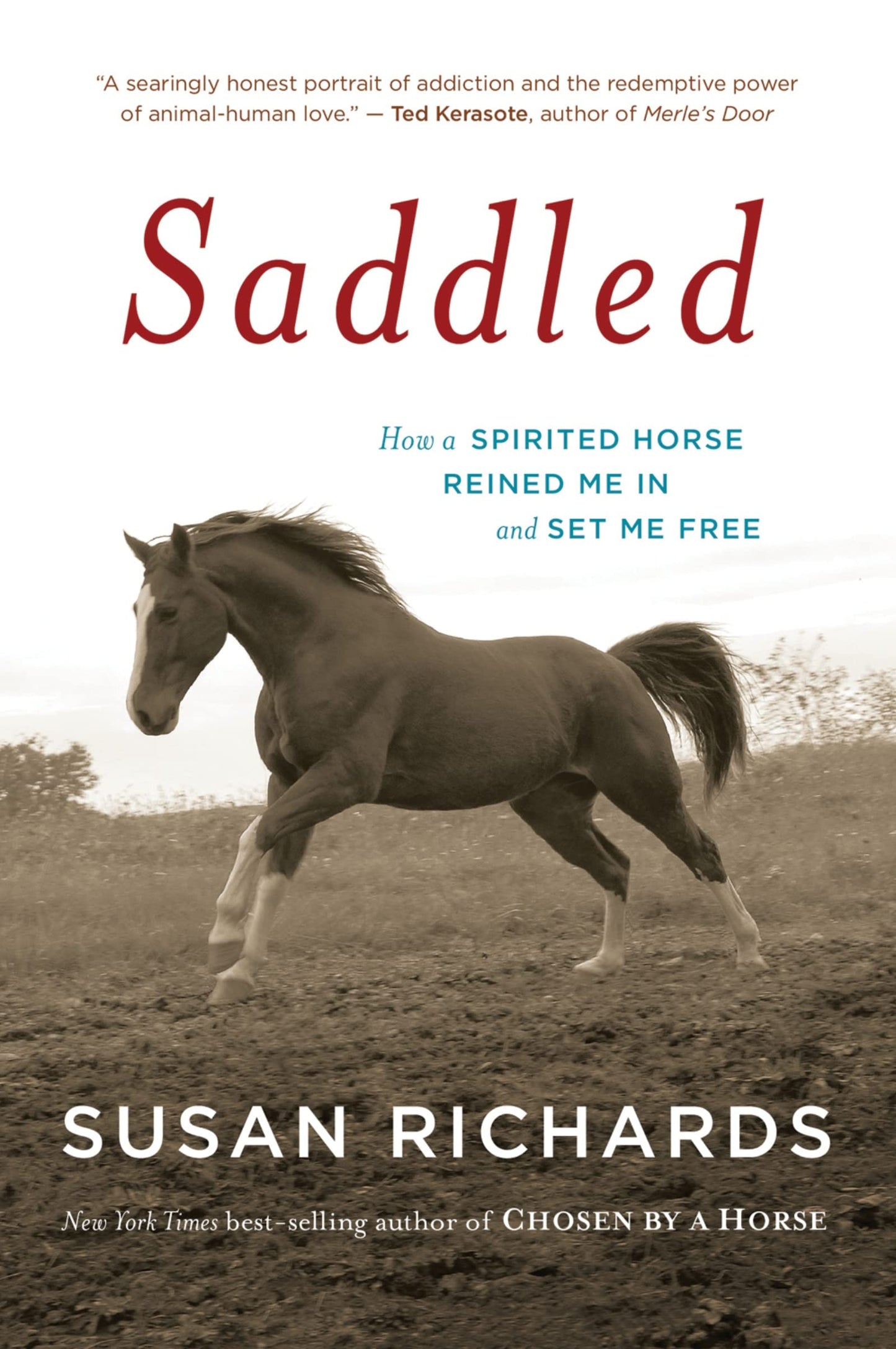 Saddled: How a Spirited Horse Reined Me in and Set Me Free - 8110