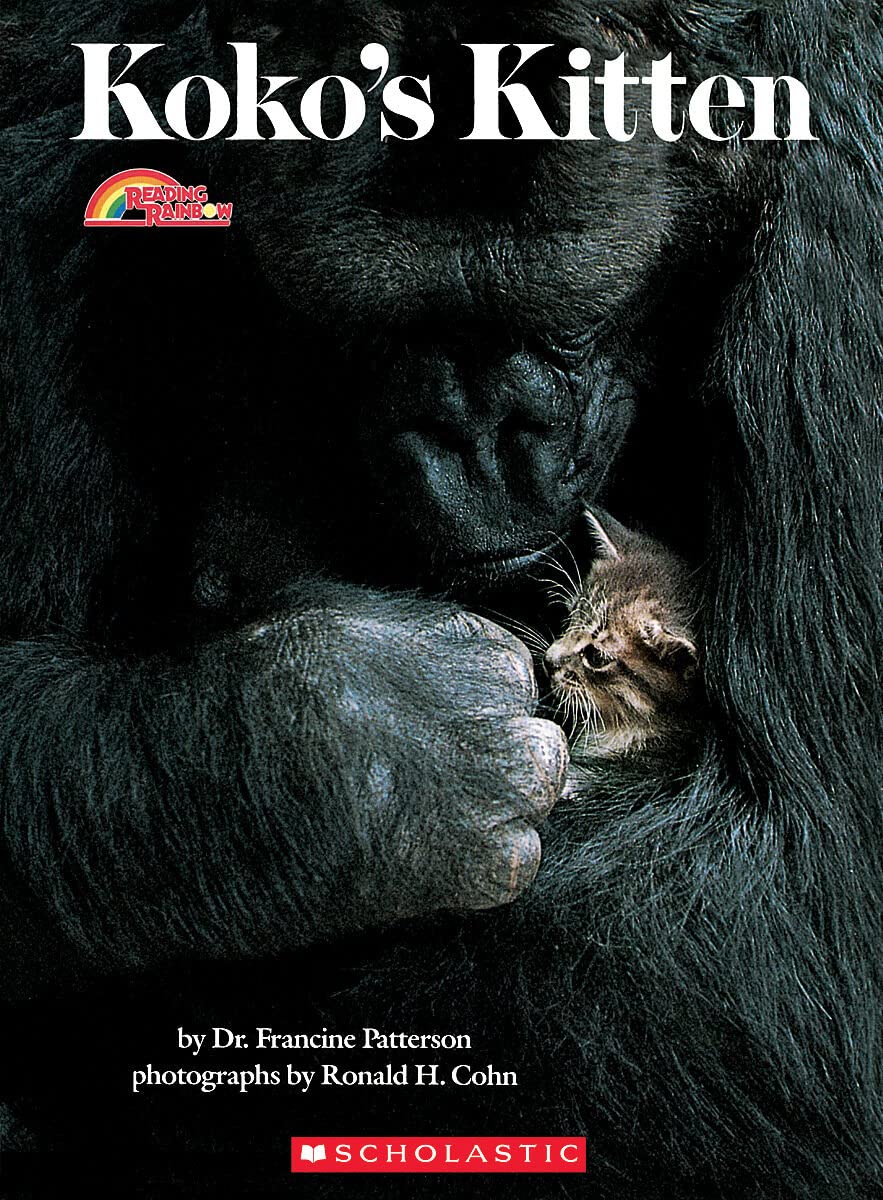 Koko's Kitten (Rise and Shine) - 5642