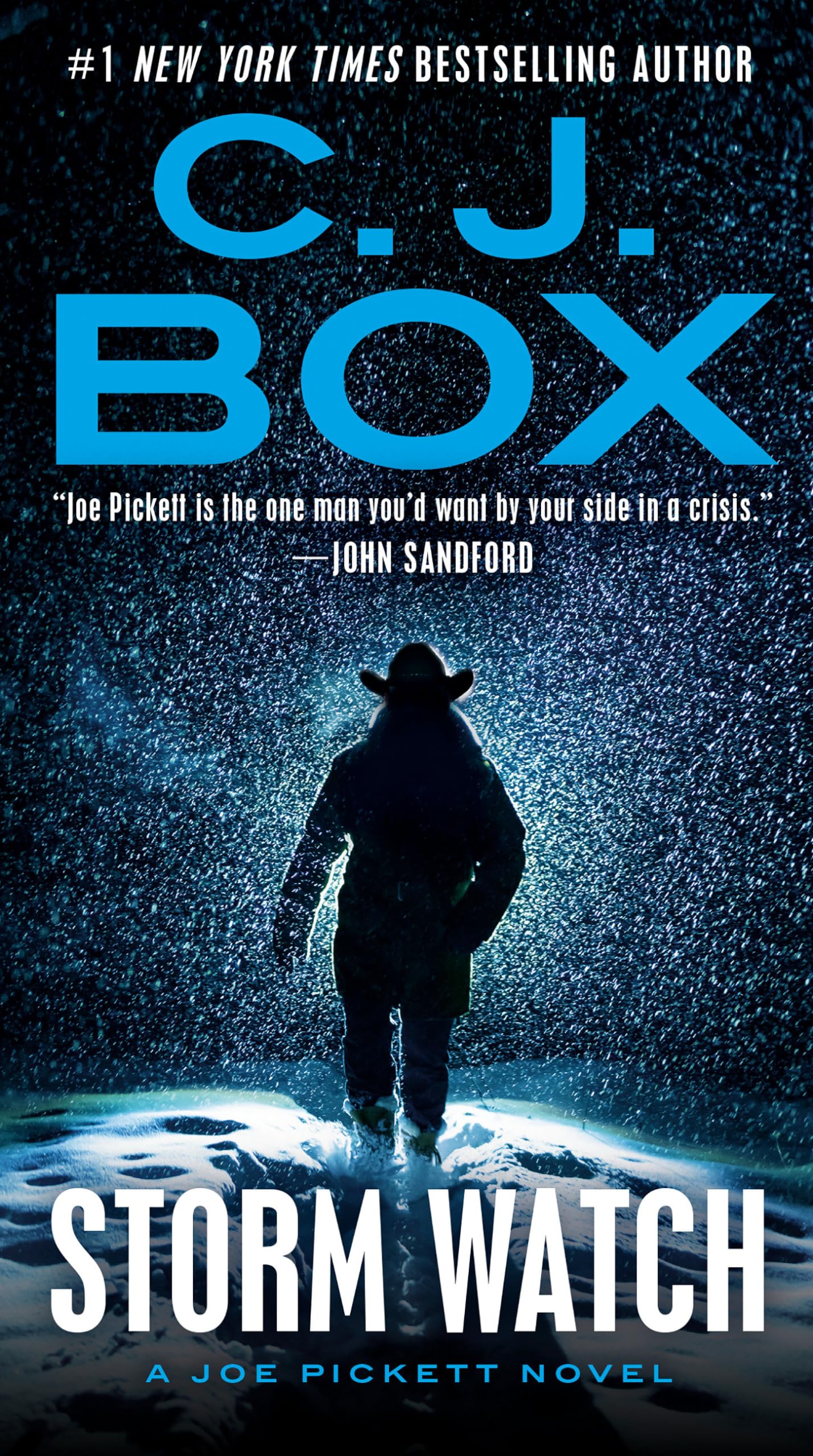 Storm Watch (A Joe Pickett Novel)