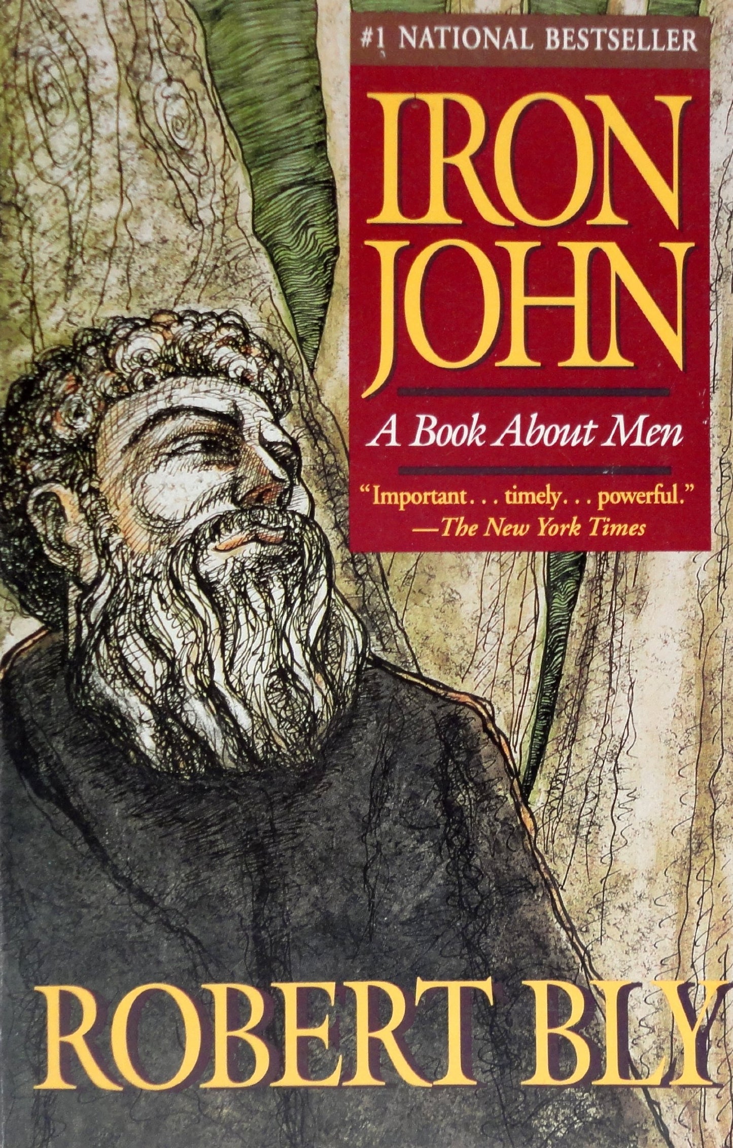 Iron John: A Book About Men