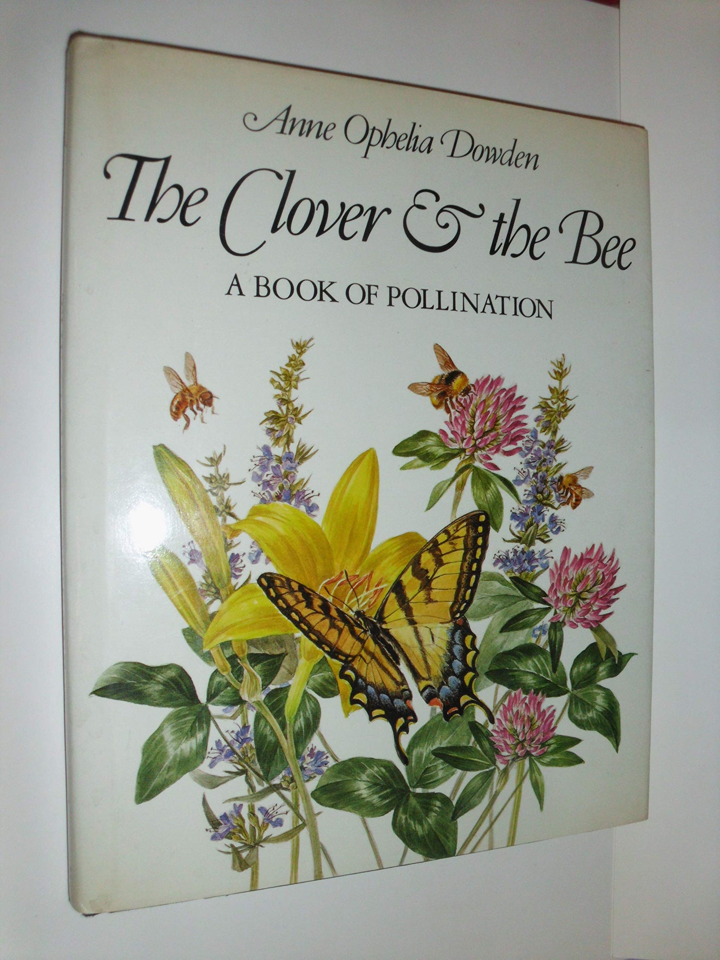 The Clover & the Bee: A Book of Pollination