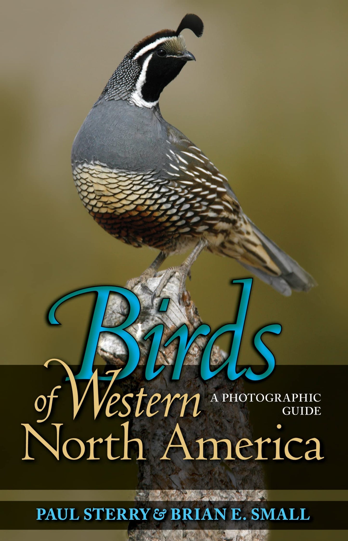 Birds of Western North America: A Photographic Guide (Princeton Field Guides, 56)