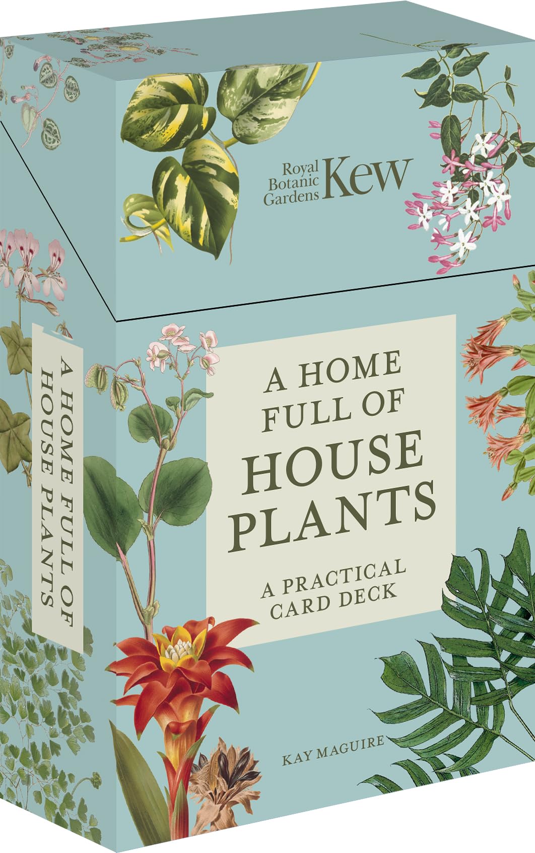 A Home Full of House Plants: A Practical Card Deck (Kew Experts) - 1146