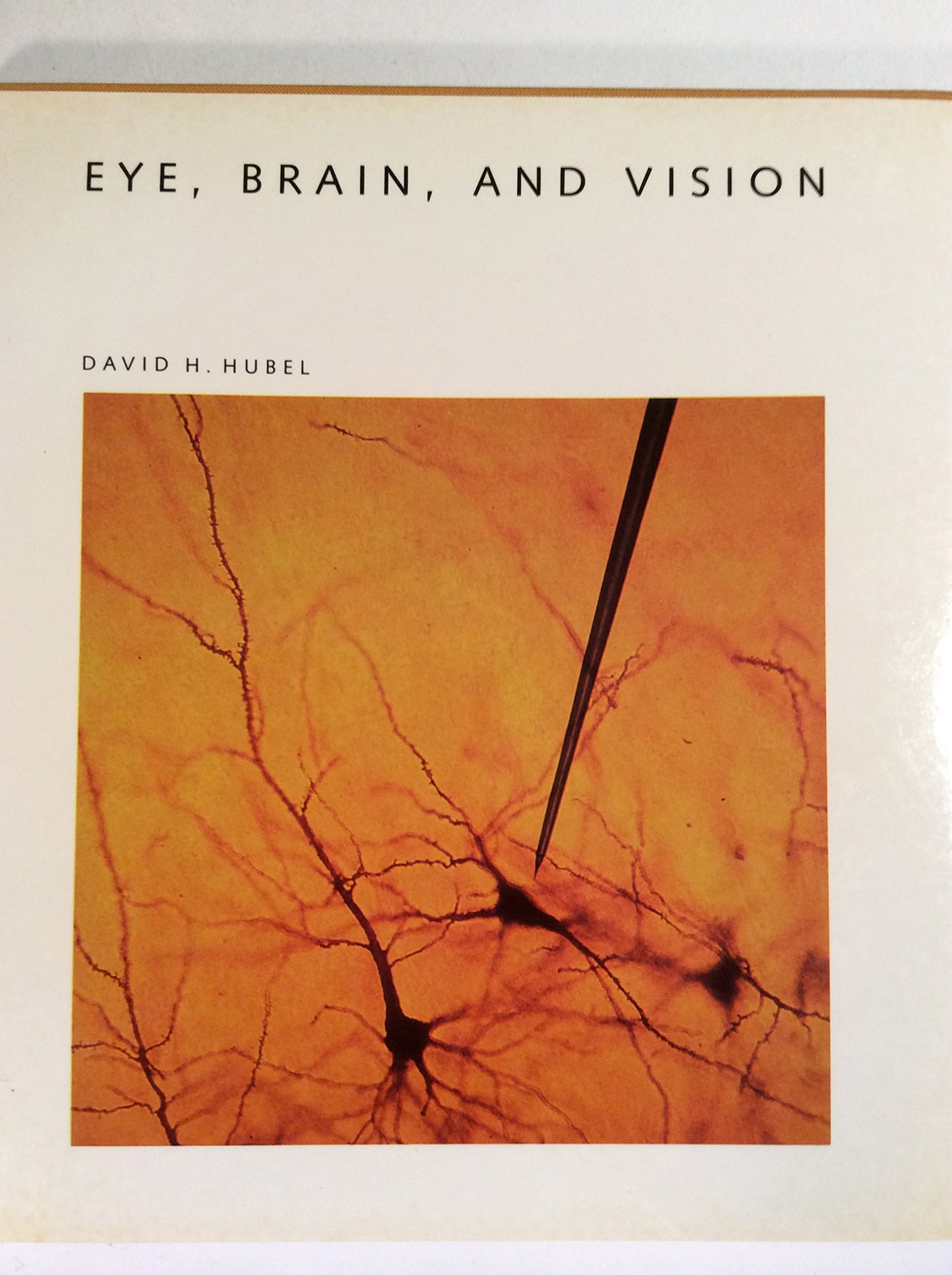 Eye, Brain, and Vision (Scientific American Library)