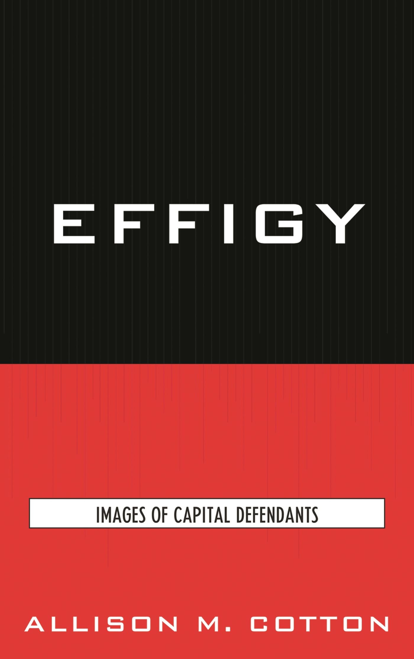 Effigy: Images of Capital Defendants (Issues in Crime and Justice)