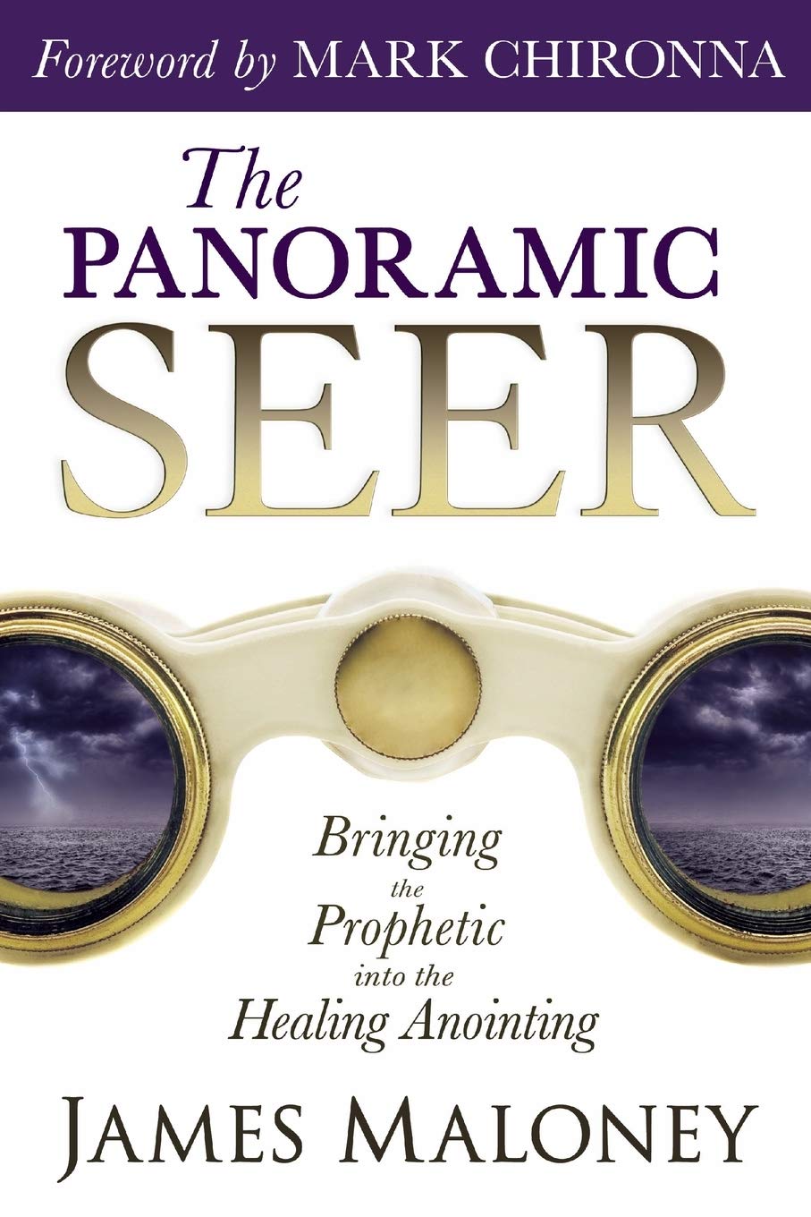The Panoramic Seer: Bringing the Prophetic into the Healing Anointing - 1626