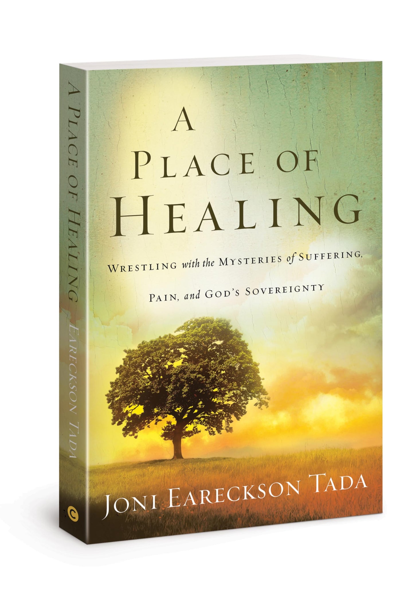Place of Healing: Wrestling with the Mysteries of Suffering, Pain, and God's Sovereignty - 4630