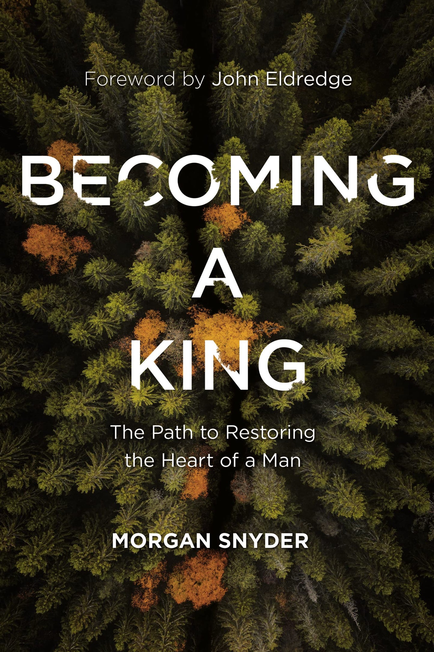 Becoming a King: The Path to Restoring the Heart of a Man - 2766