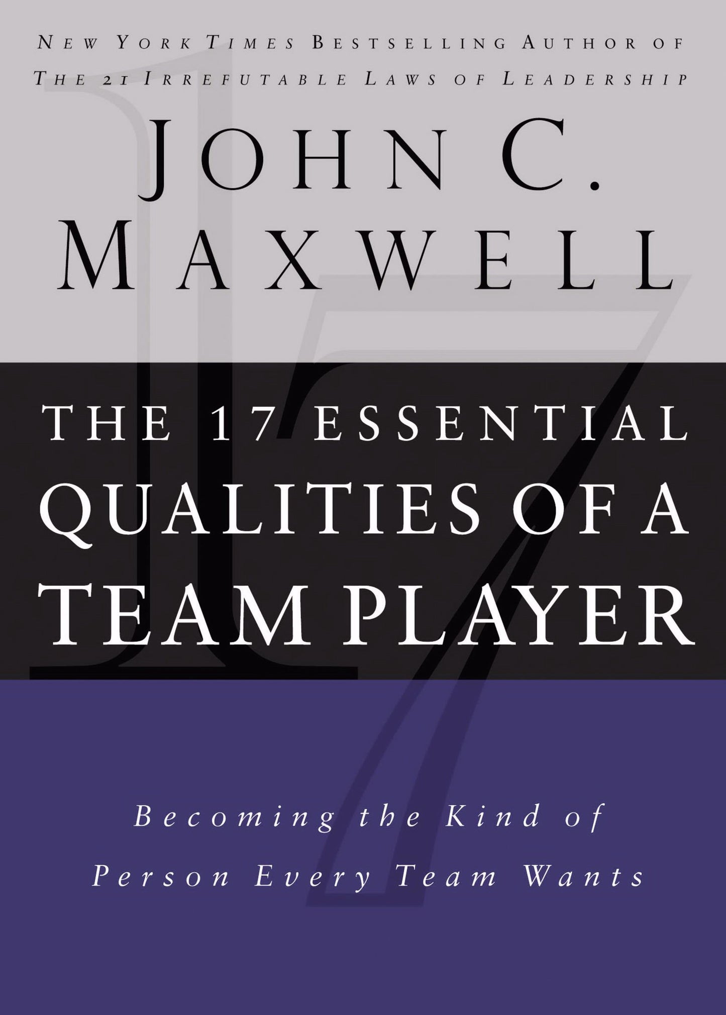 17 Essential Qualities of a Team Player: Becoming the Kind of Person Every Team Wants - 4860