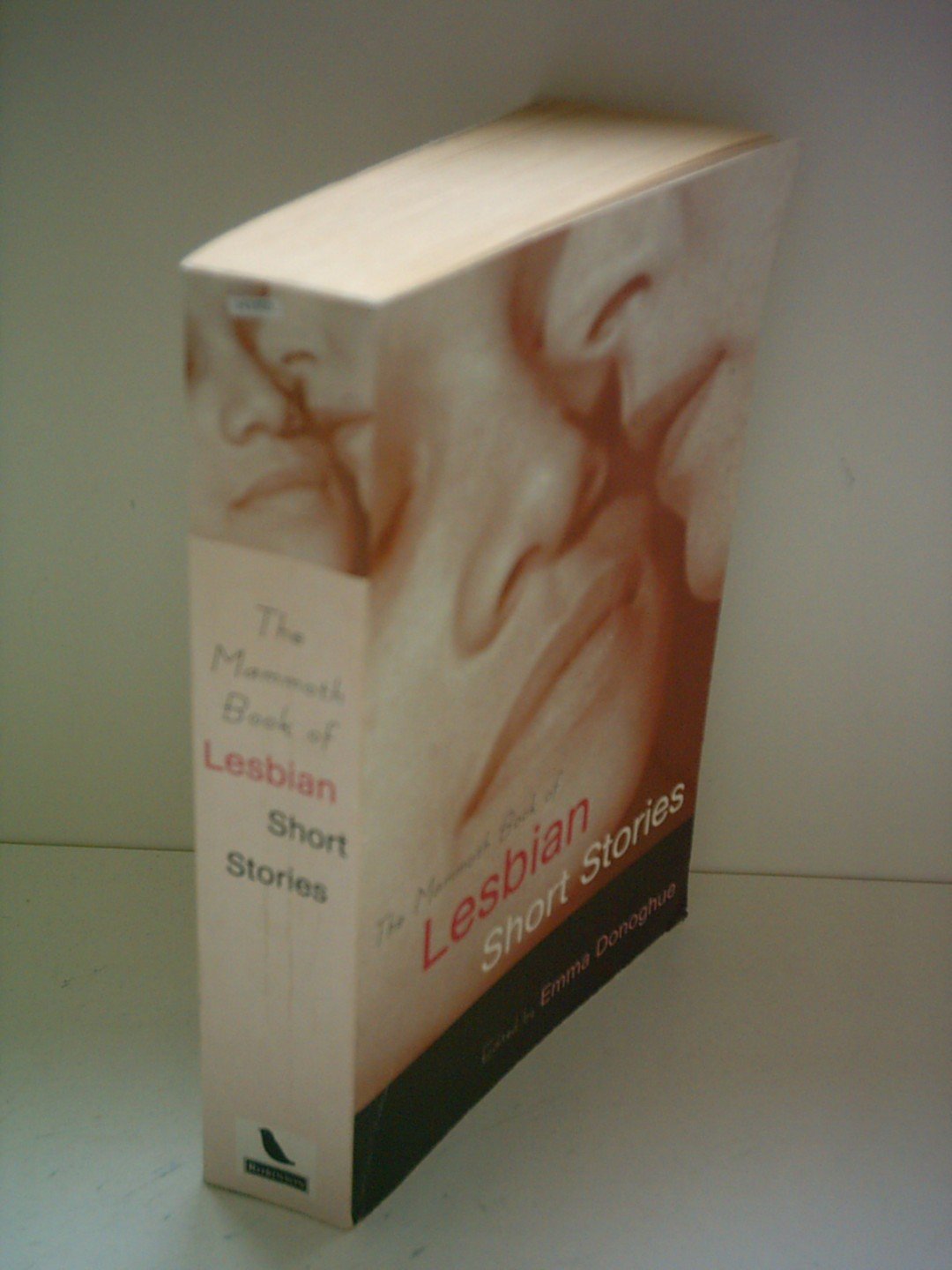 The Mammoth Book of Lesbian Short Stories (Mammoth Books)