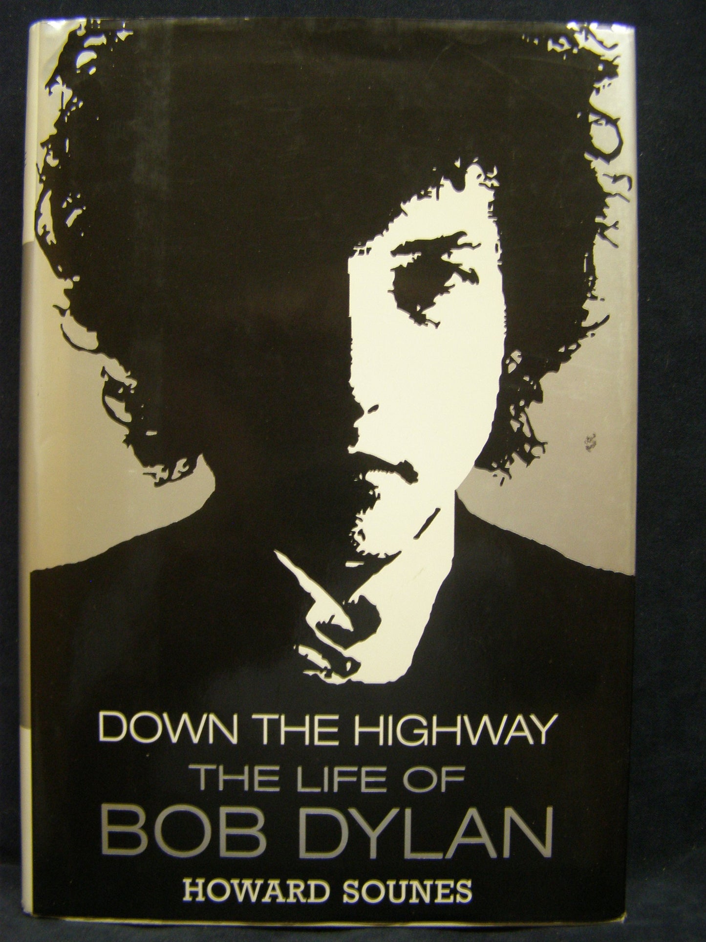 Down the Highway: The Life of Bob Dylan - 8698
