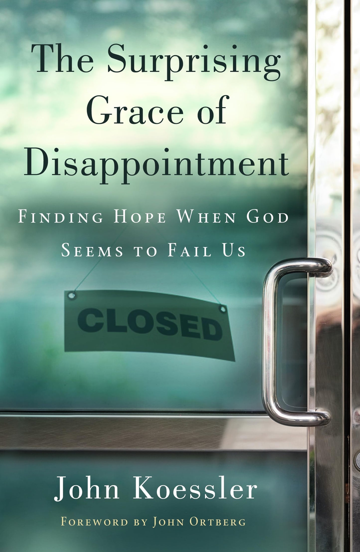 The Surprising Grace of Disappointment: Finding Hope when God Seems to Fail Us - 3331