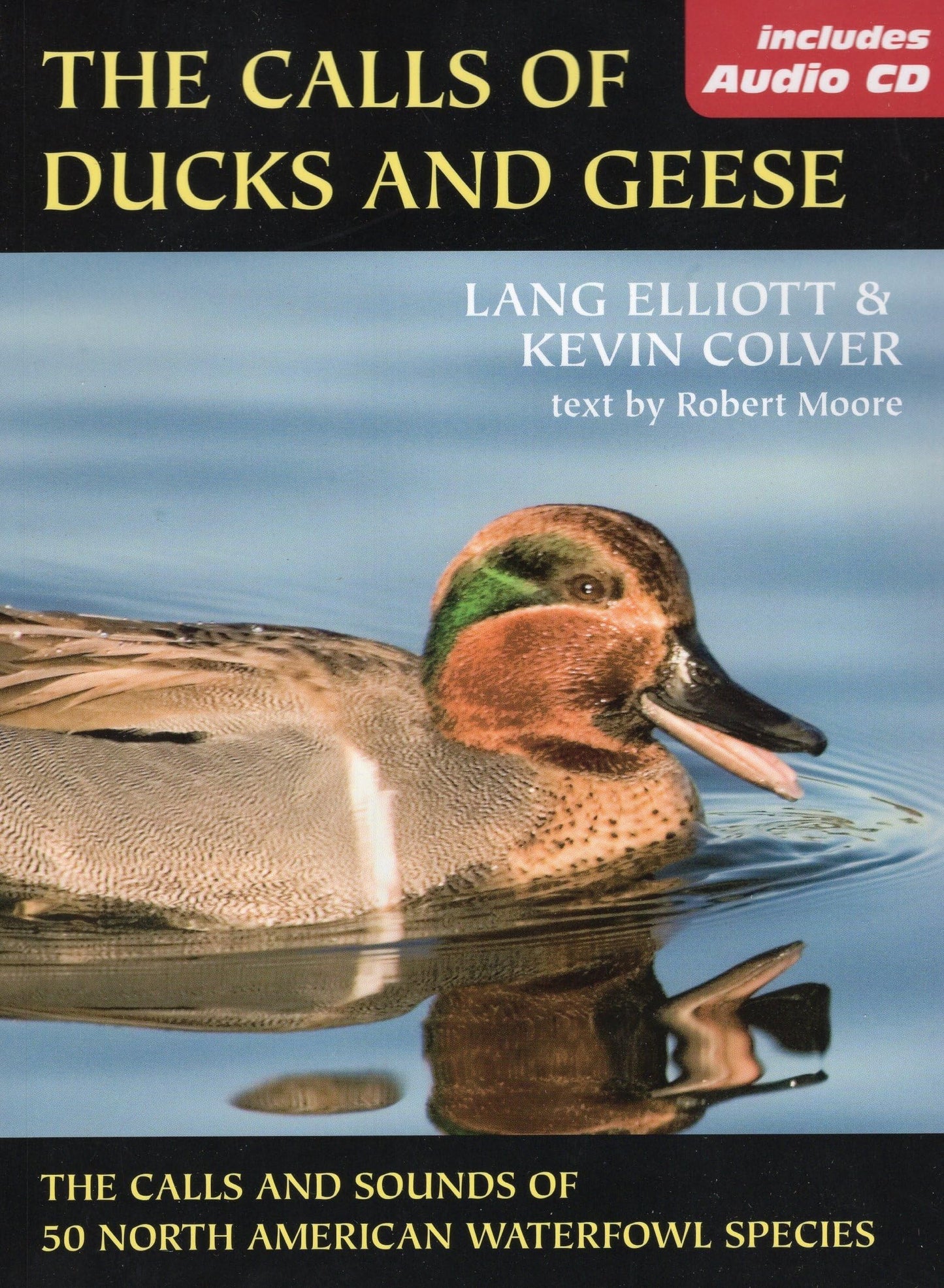 The Calls of Duck and Geese