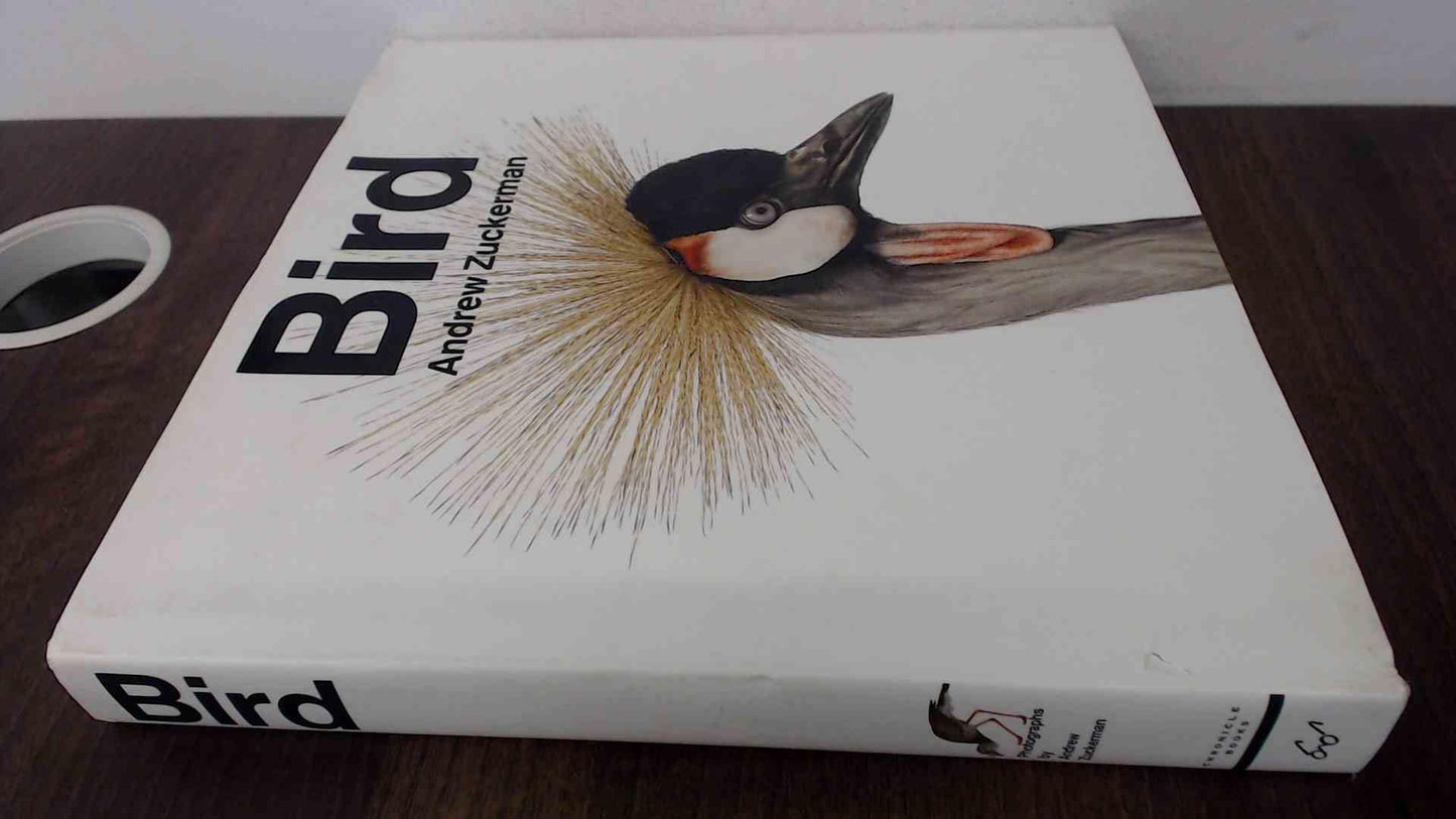 Bird - 5061