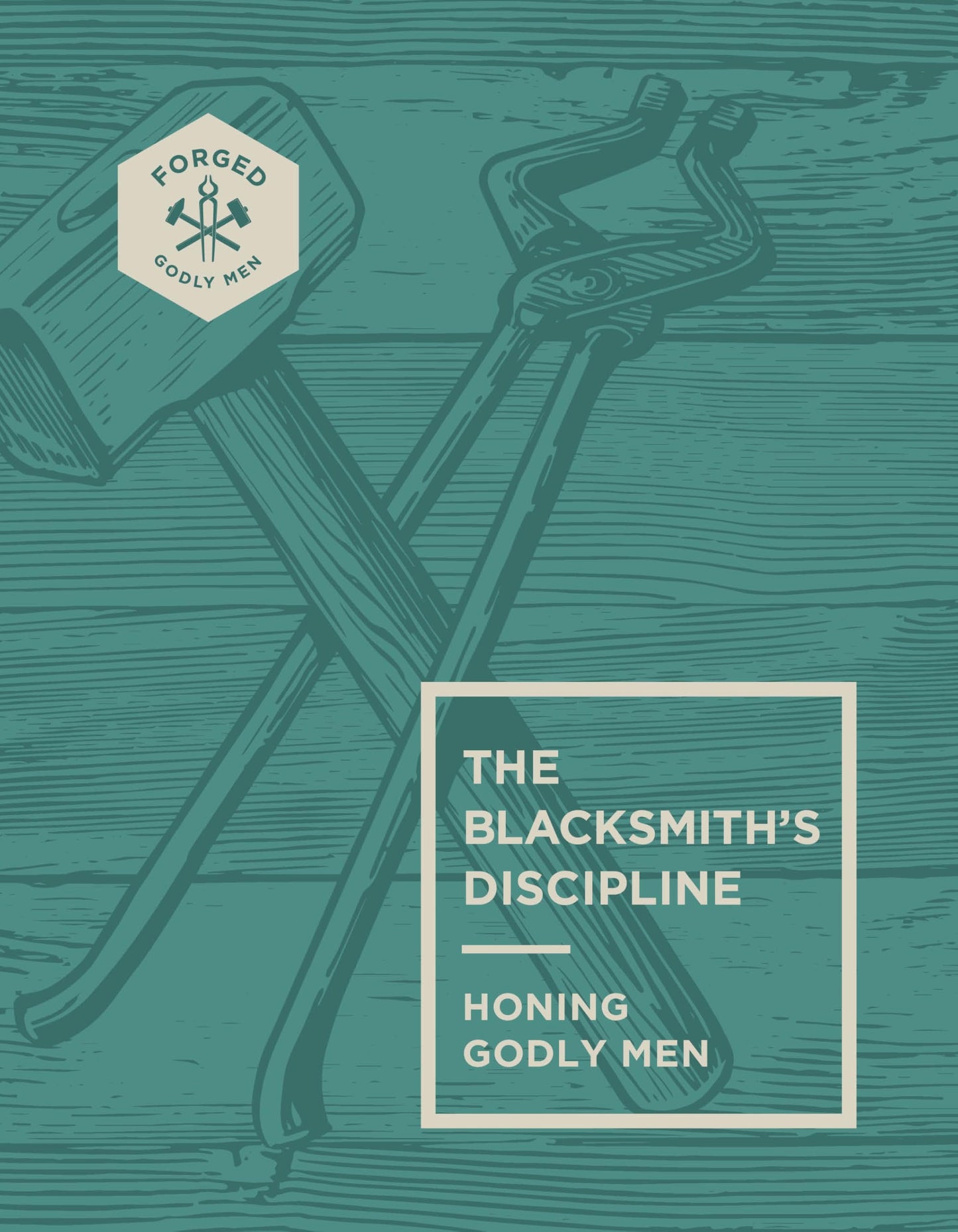 The Blacksmith’s Discipline: Honing Godly Men (Forged: Godly Men) (Volume 2)
