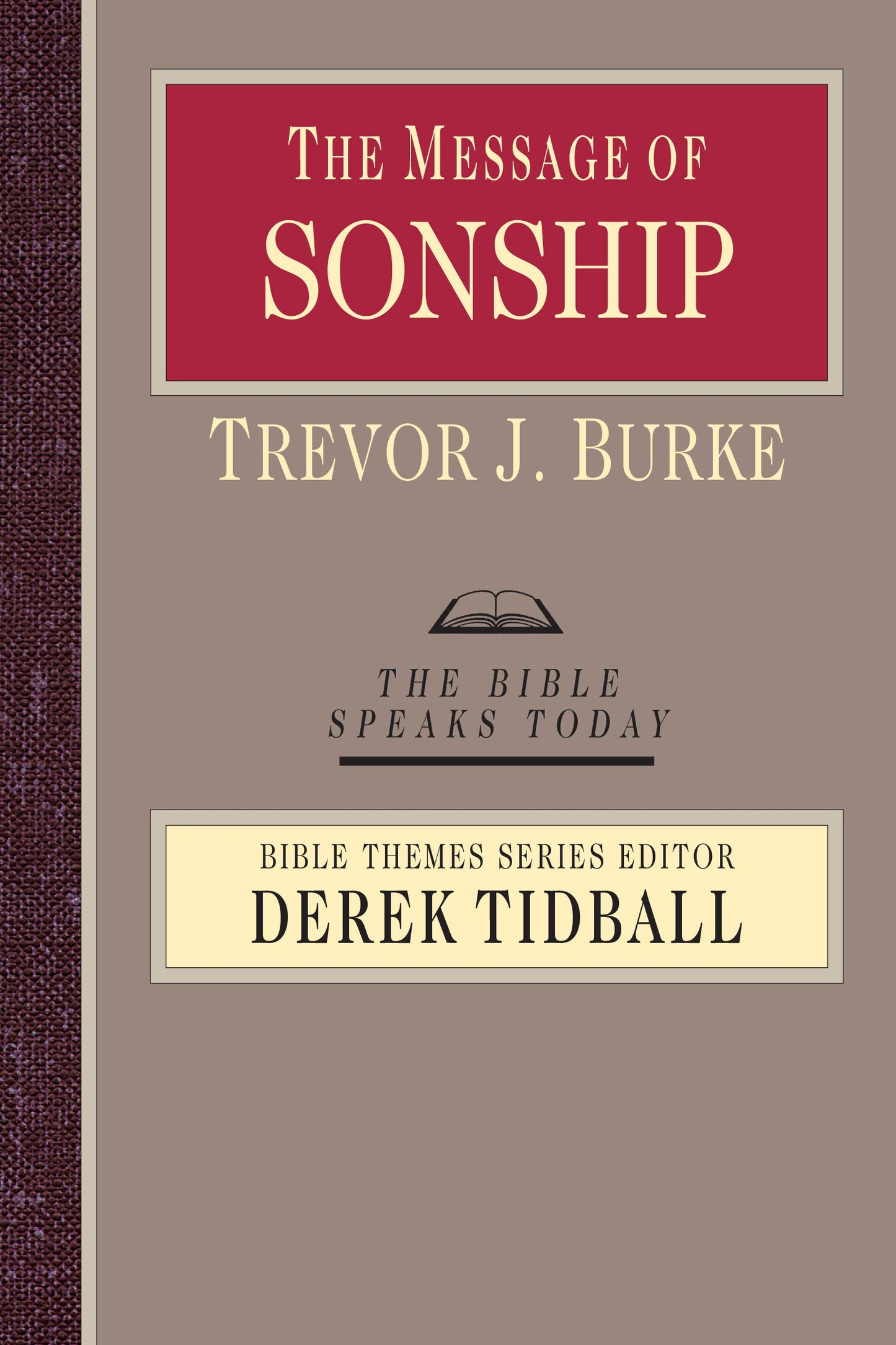 The Message of Sonship (The Bible Speaks Today Bible Themes Series) - 4564