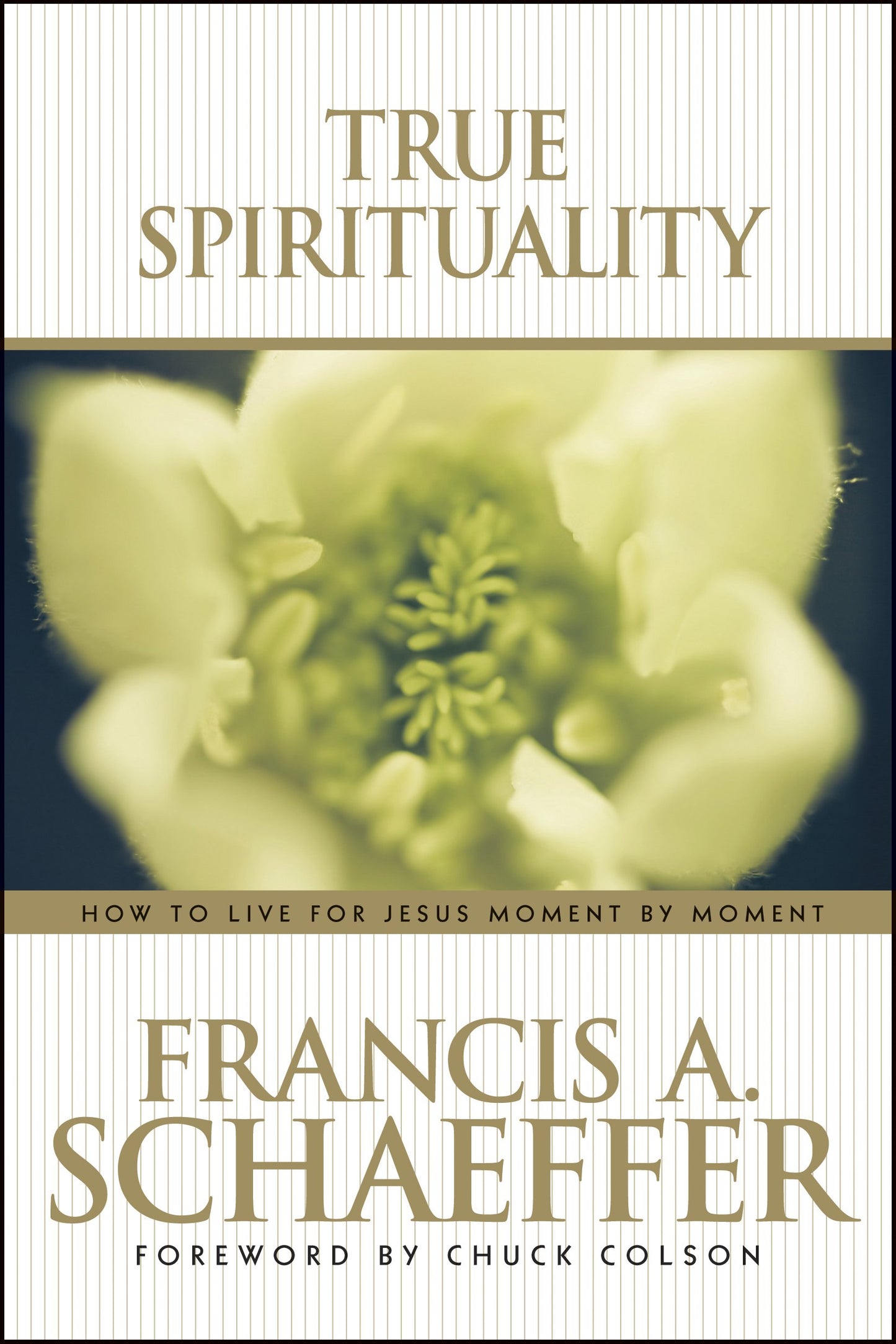 True Spirituality - 6074