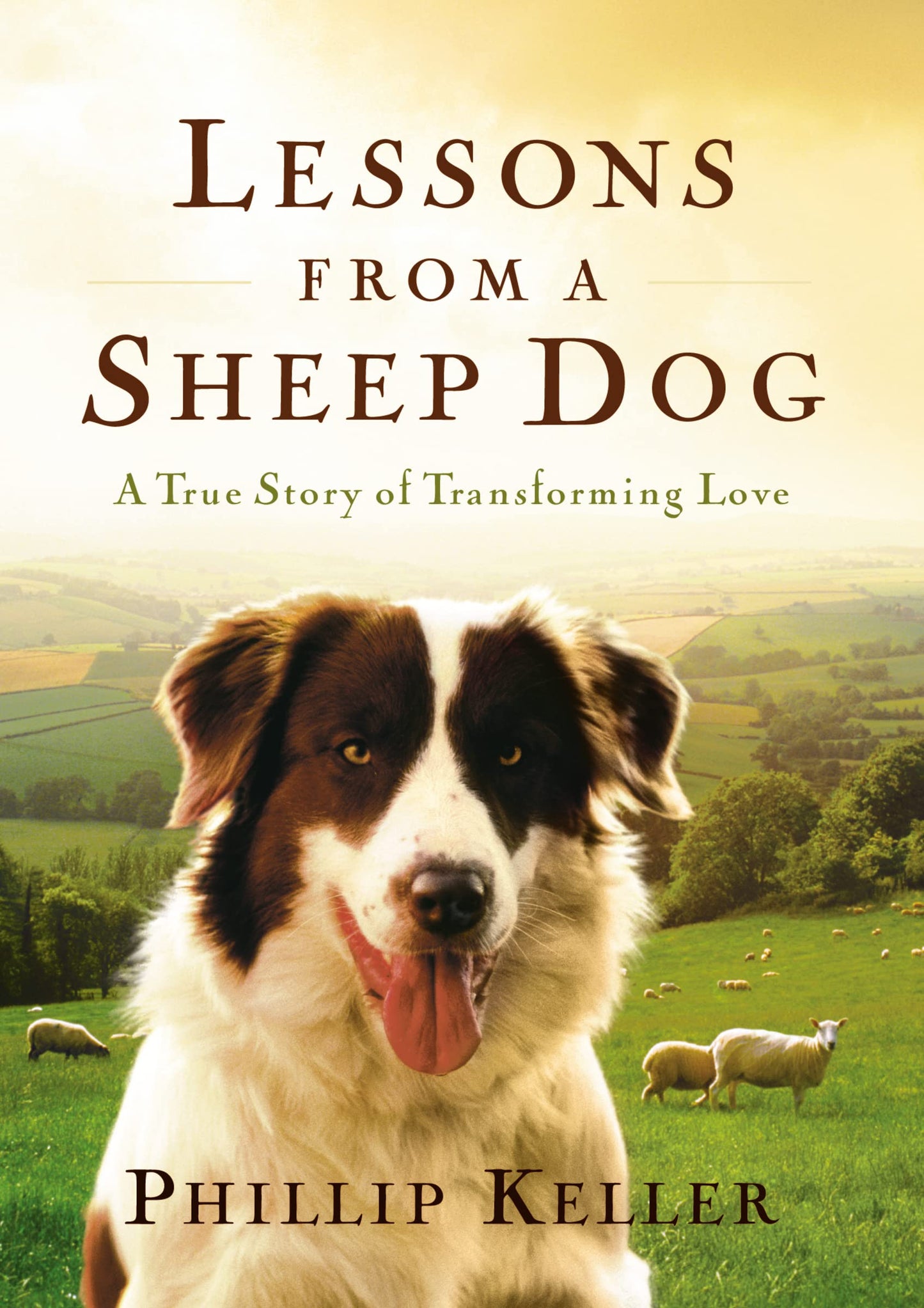 Lessons from a Sheep Dog: A True Story of Transforming Love - 1572